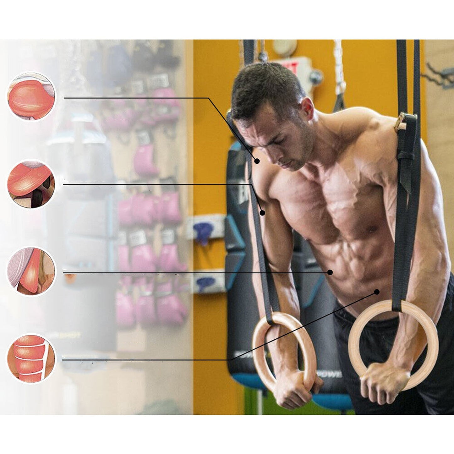 2pcs Adjustable Gymnastic Olympic Rings Set for Home Fitness