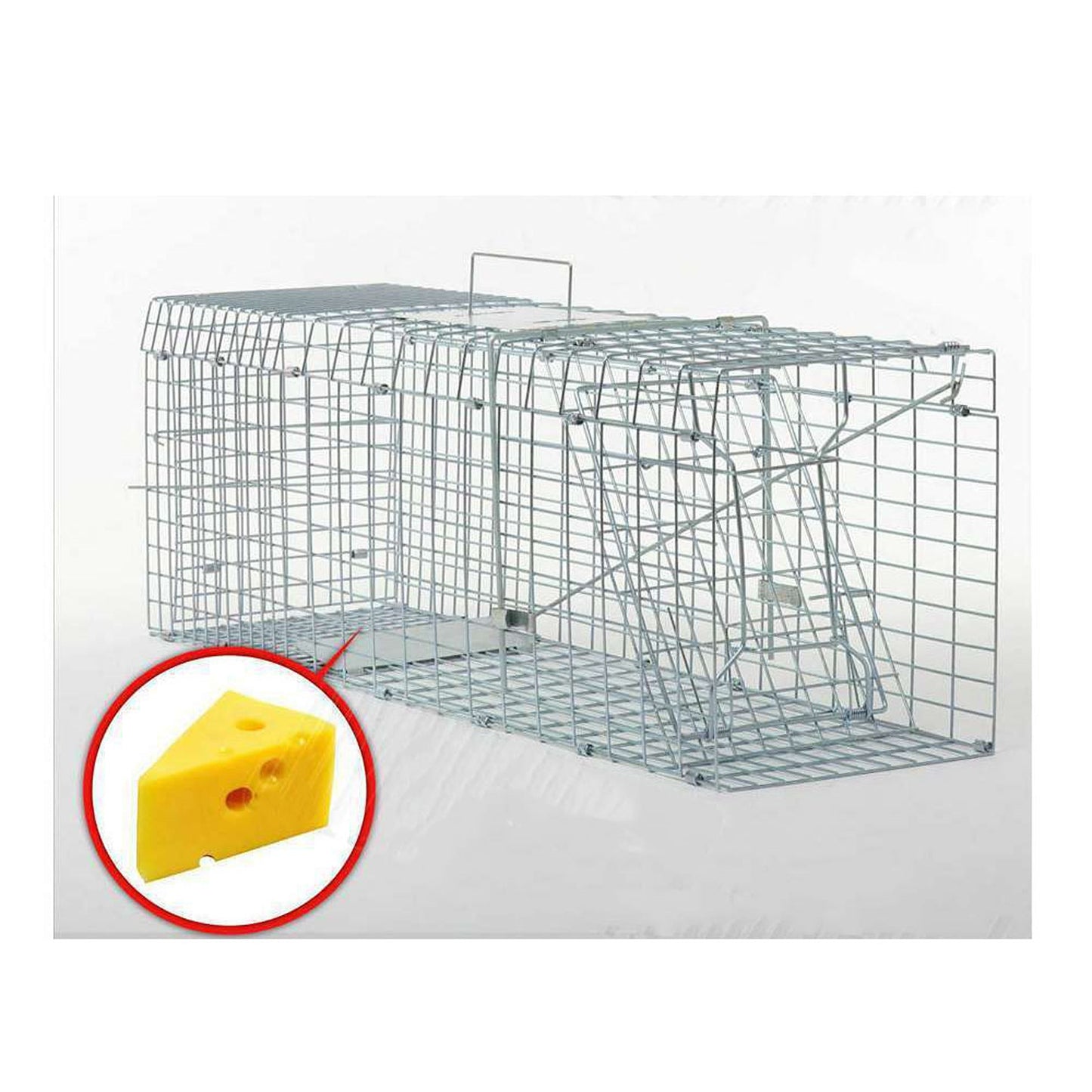 Live Catch Animal Trap Cage for Possum Cat Rabbit and Fox - Humane