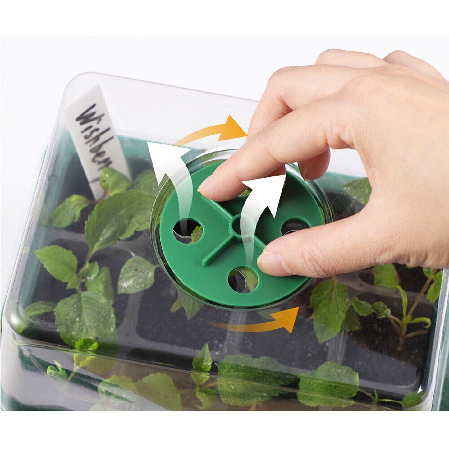 10pcs Planting Starter Kit Multi-Hole Seedling Box