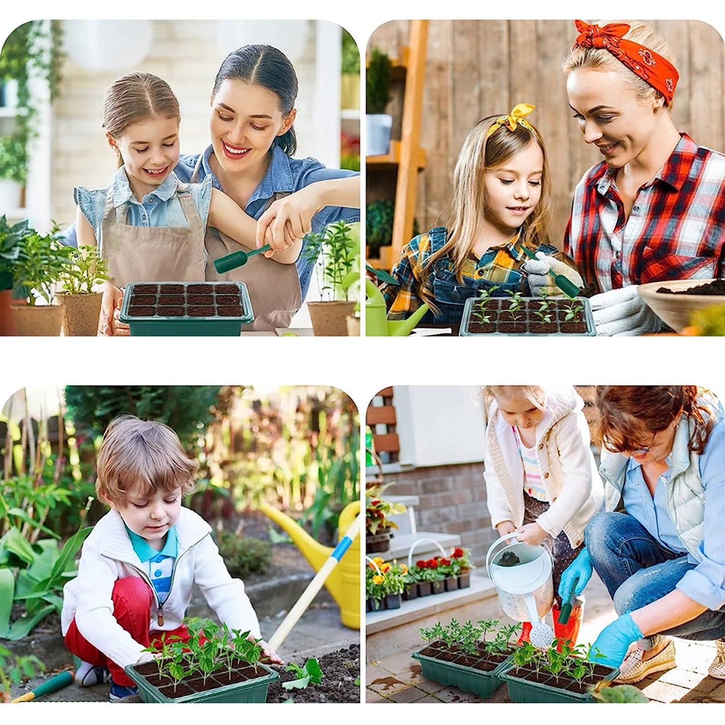 Set of 10 Seedling Starter Tray for Plant Growth and Propagation