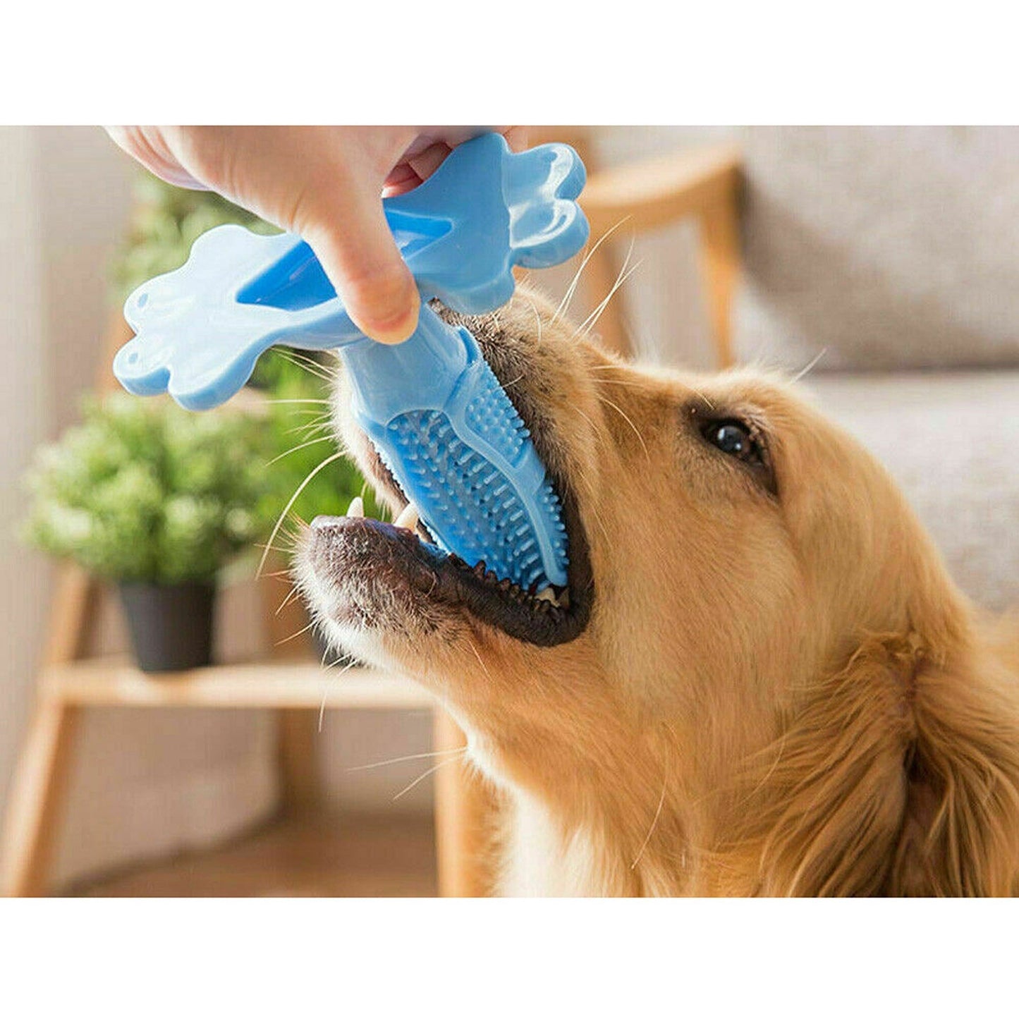 Chewable Dog Toothbrush Molars Brush for Pet Dental Health