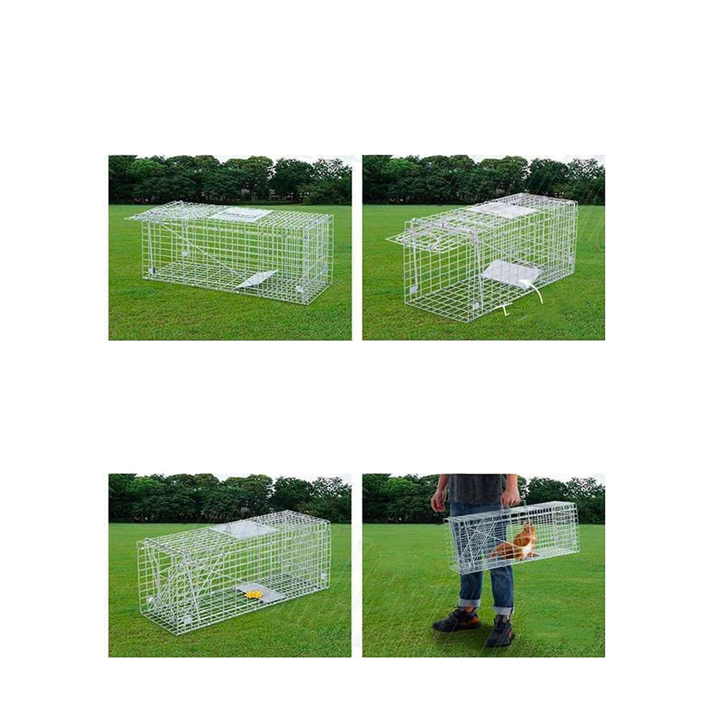 Live Catch Animal Trap Cage for Possum Cat Rabbit and Fox - Humane