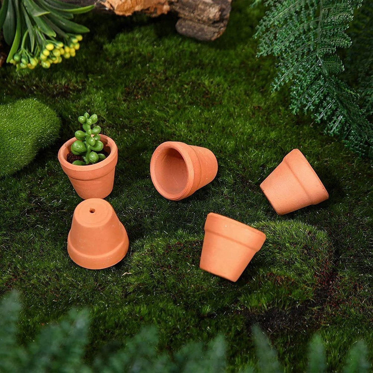 10pcs Decorative Mini Succulent Planters Terracotta Clay Pots
