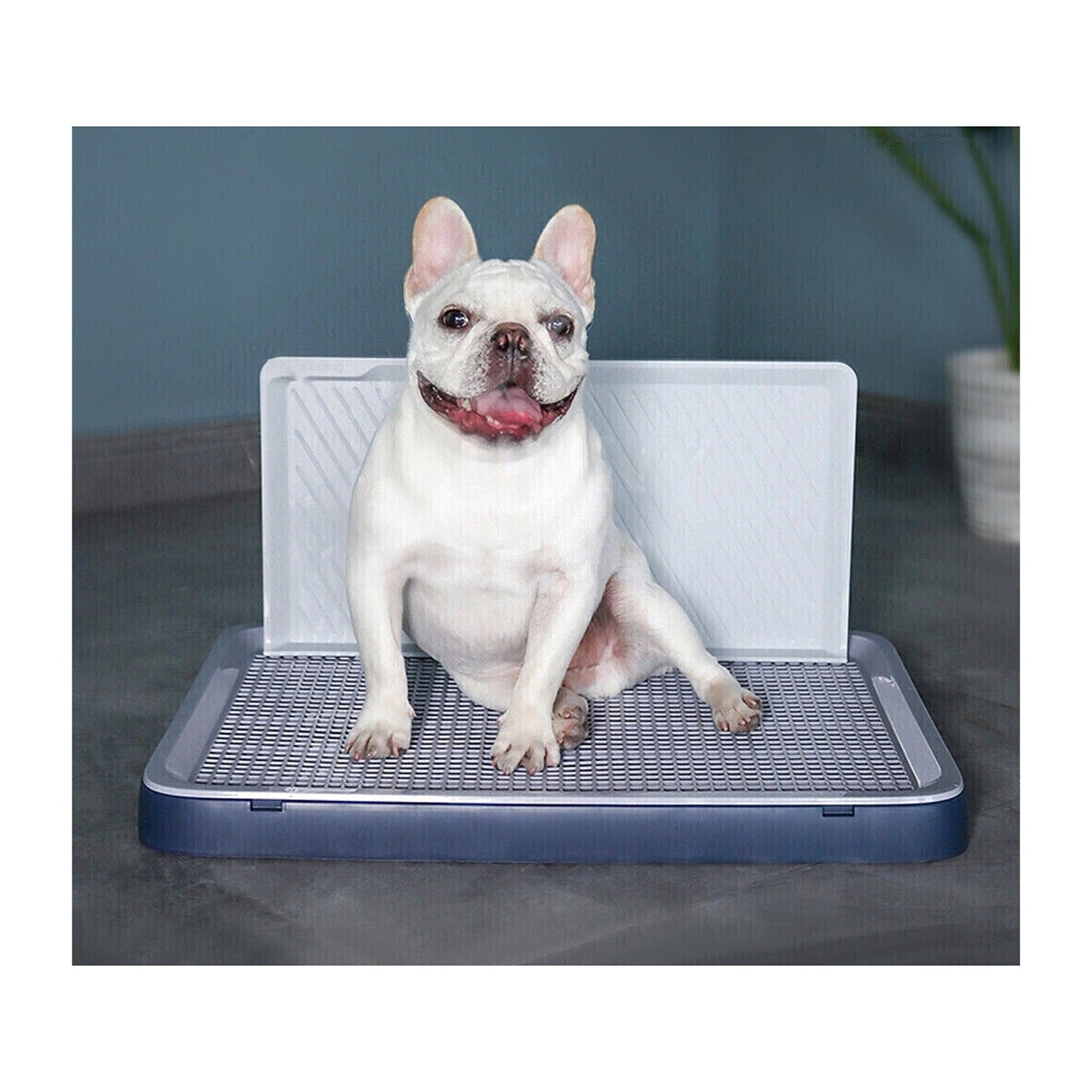 Large Indoor Dog Pet Potty Training Pee Pad Toilet Mat Tray