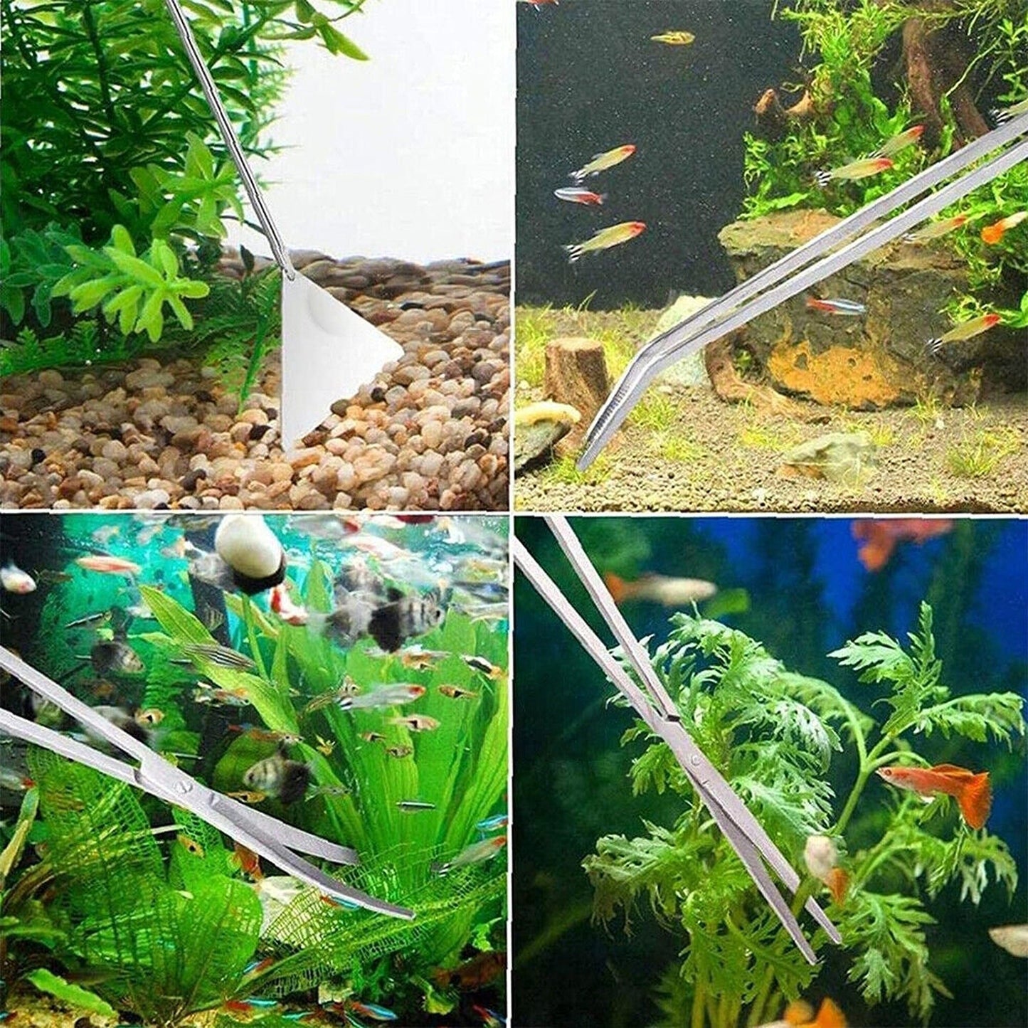 5pcs Aquarium Maintenance Tool Kit Stainless Steel Plant Tweezers Scissors Set