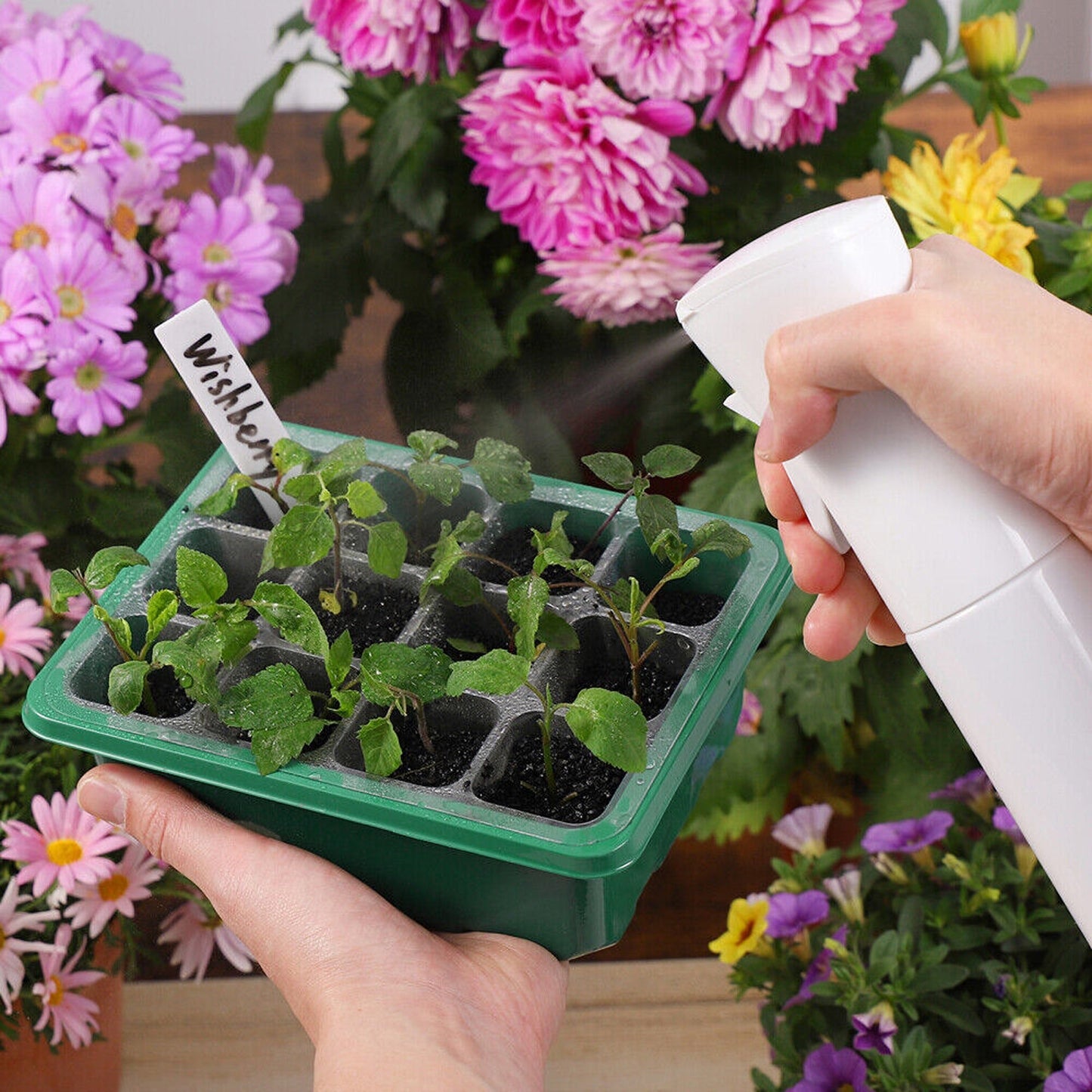 10pcs Planting Starter Kit Multi-Hole Seedling Box