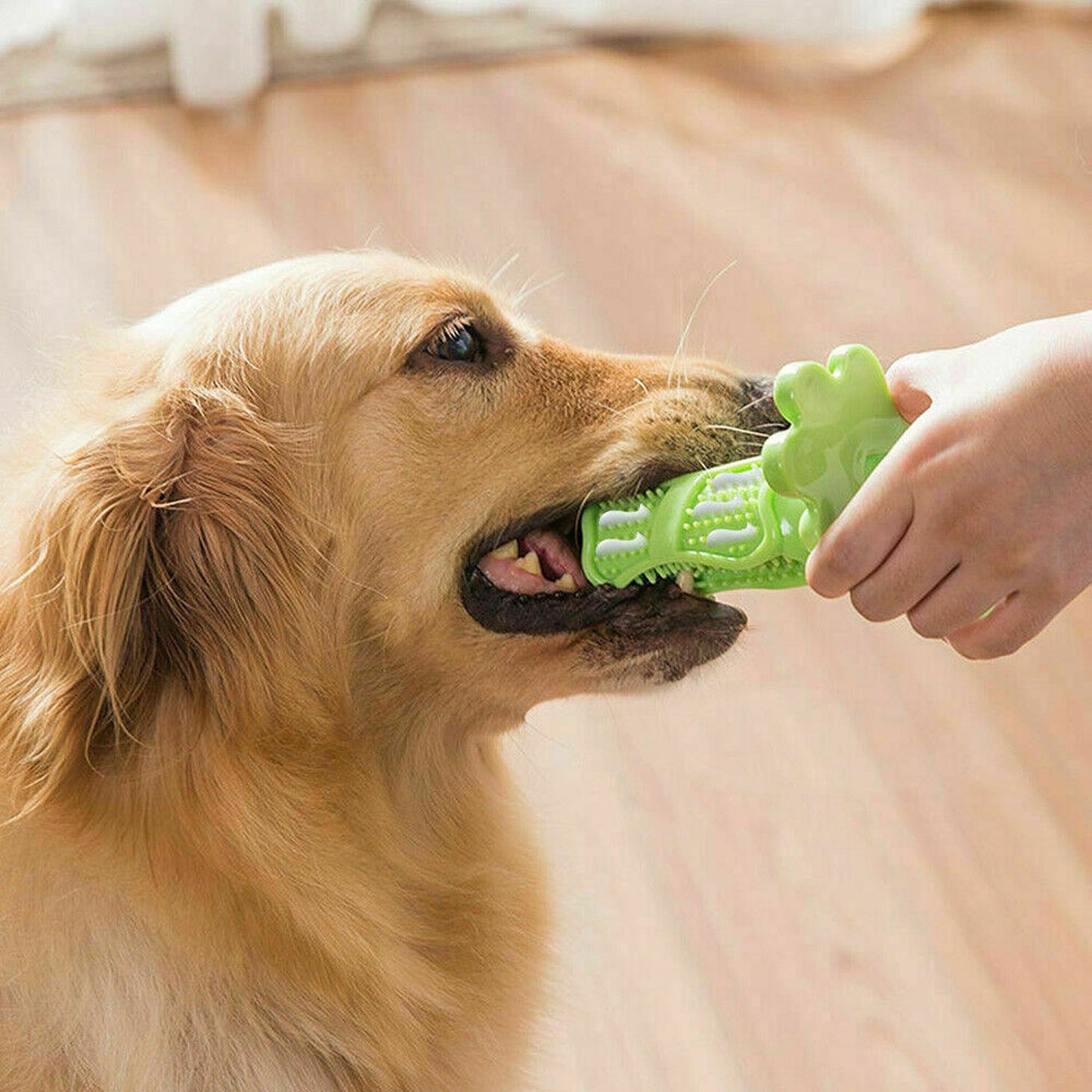 Chewable Dog Toothbrush Molars Brush for Pet Dental Health