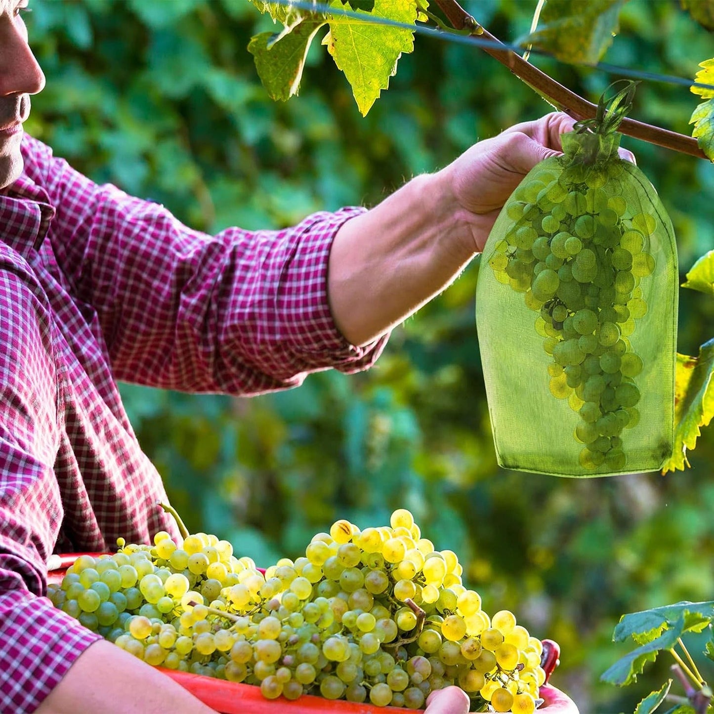 100x Agricultural Fruit Protection Net Bags Insect Proof Mesh 20x30cm