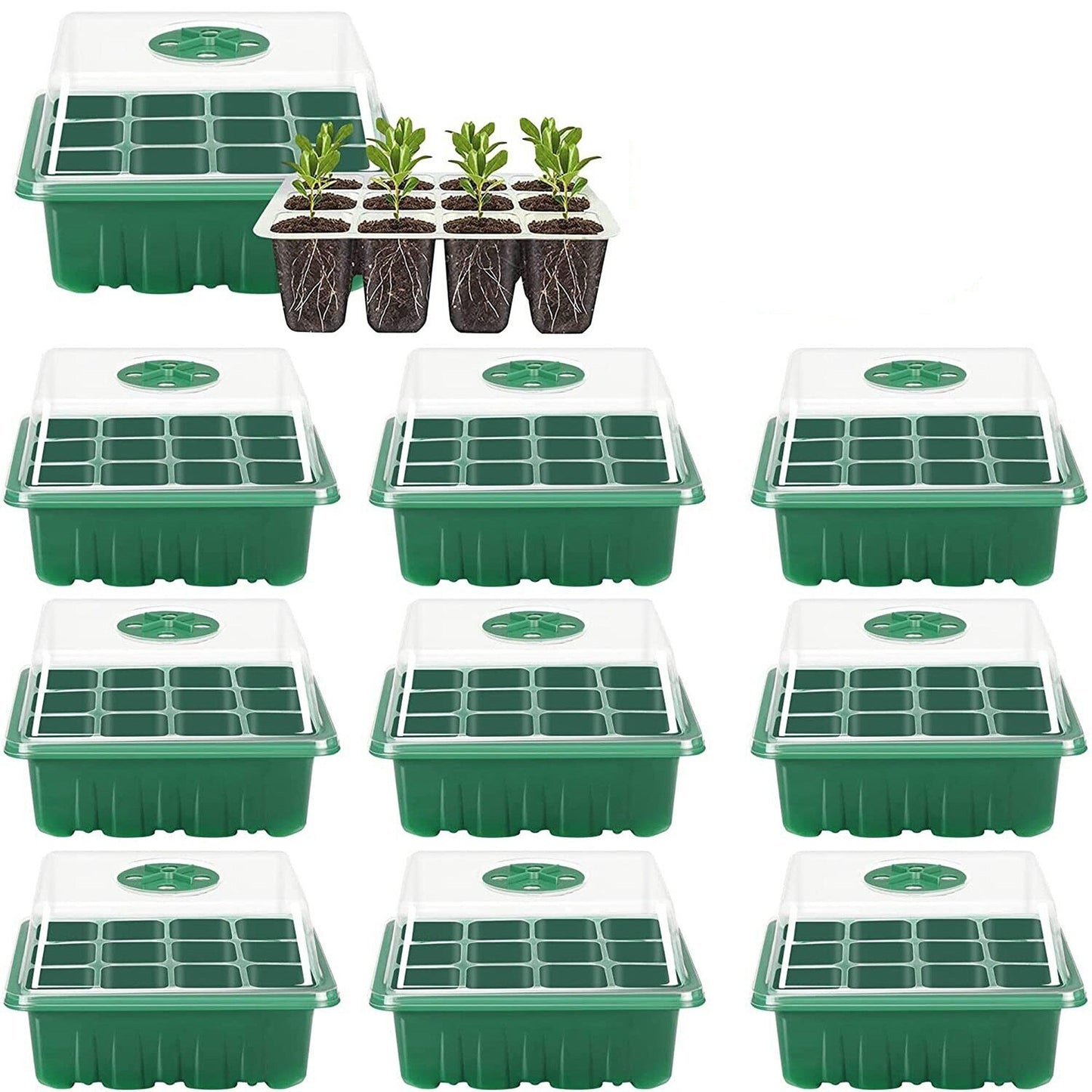 10pcs Planting Starter Kit Multi-Hole Seedling Box