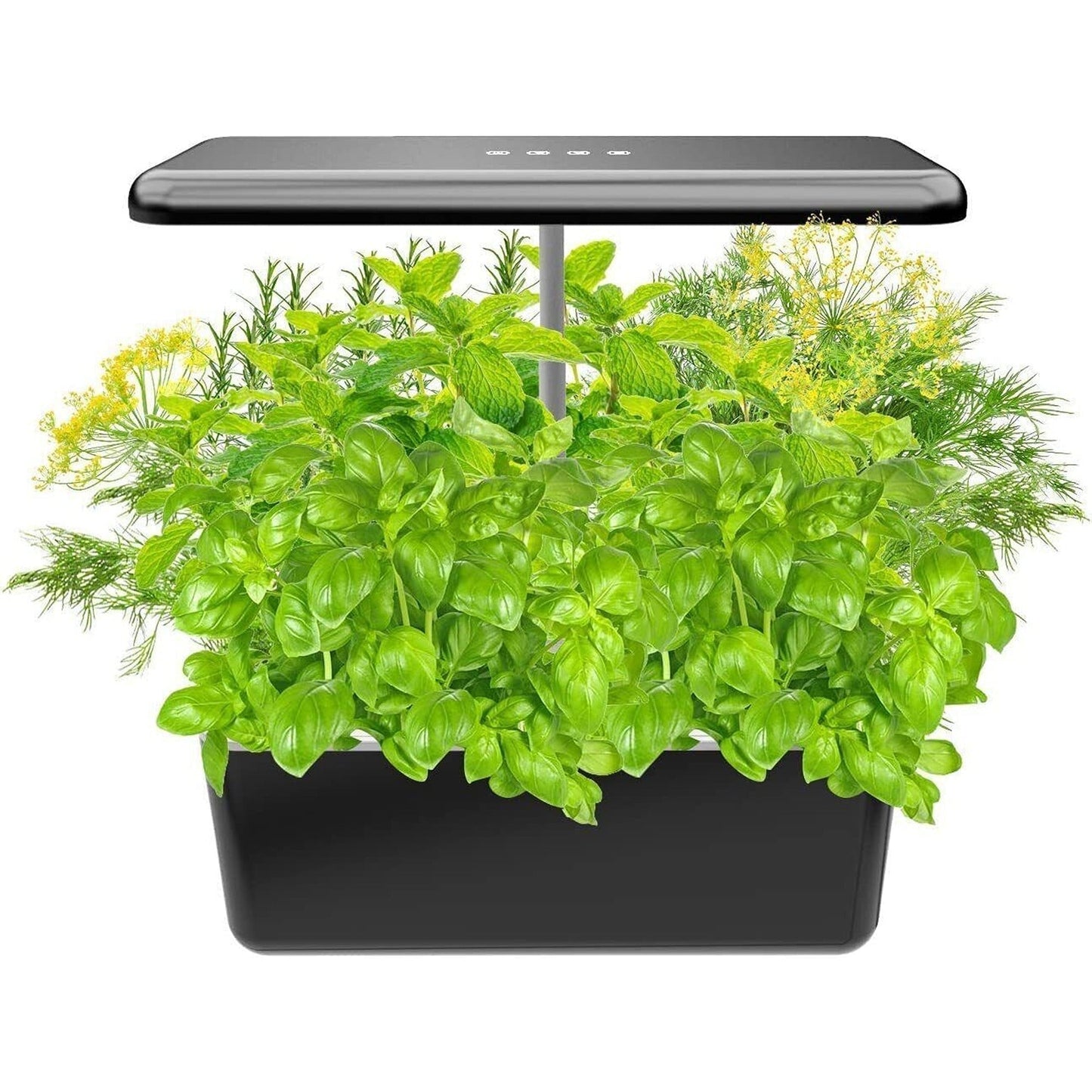 Indoor Hydroponics Herb Garden Starter Kit with LED Grow Lights