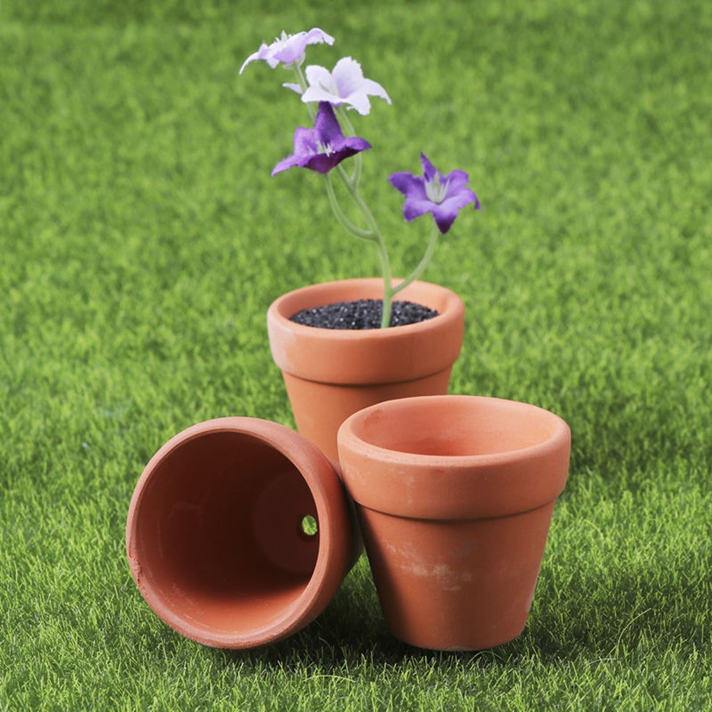 10pcs Decorative Mini Succulent Planters Terracotta Clay Pots