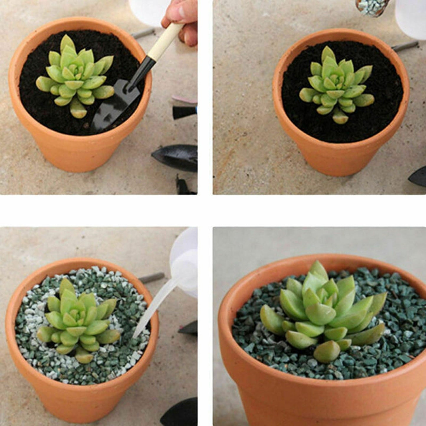 10pcs Decorative Mini Succulent Planters Terracotta Clay Pots