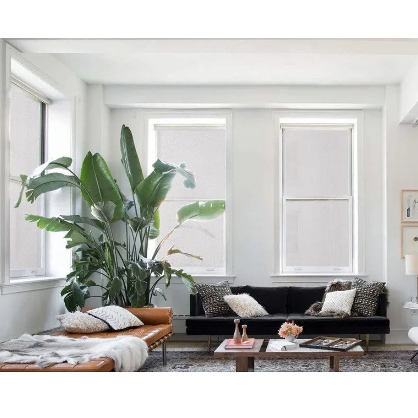 Removable Privacy Film for Home Window Glass Clear Frosted