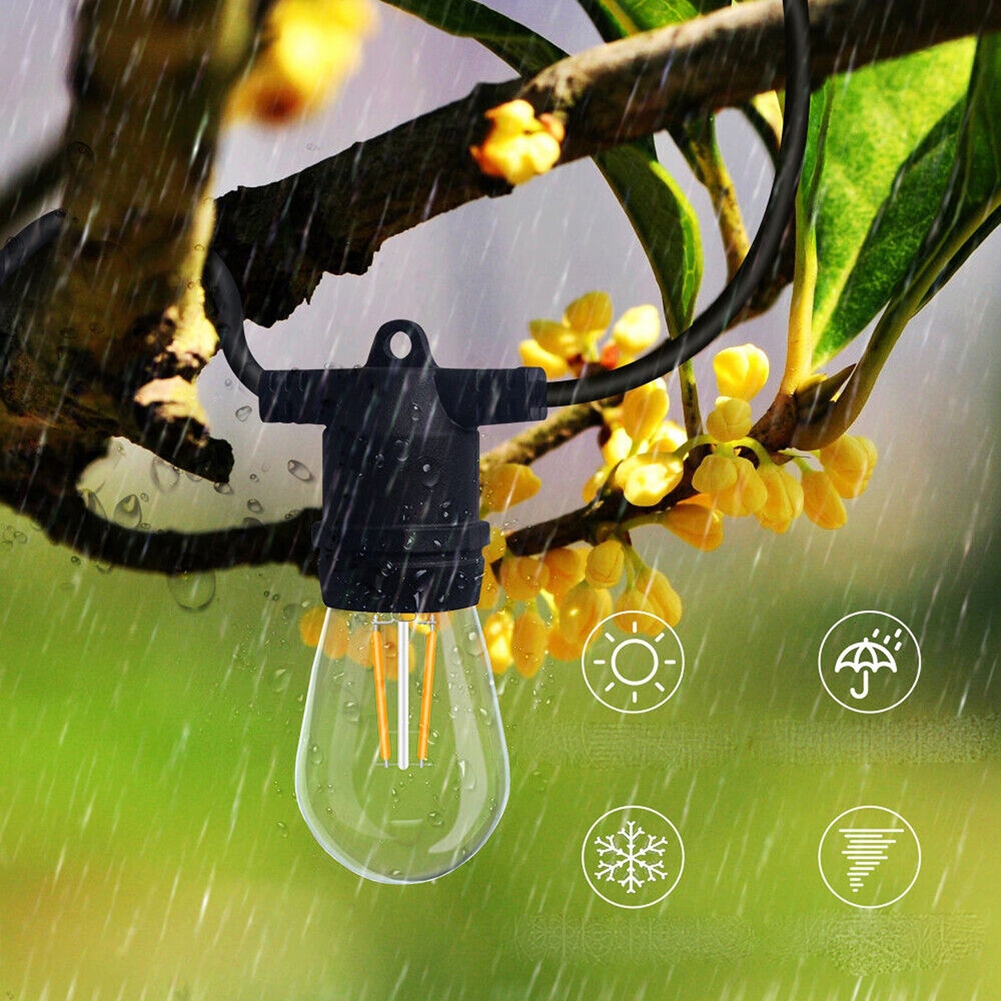 LED Festoon String Lights for Wedding Solar and Plug-In Connectable