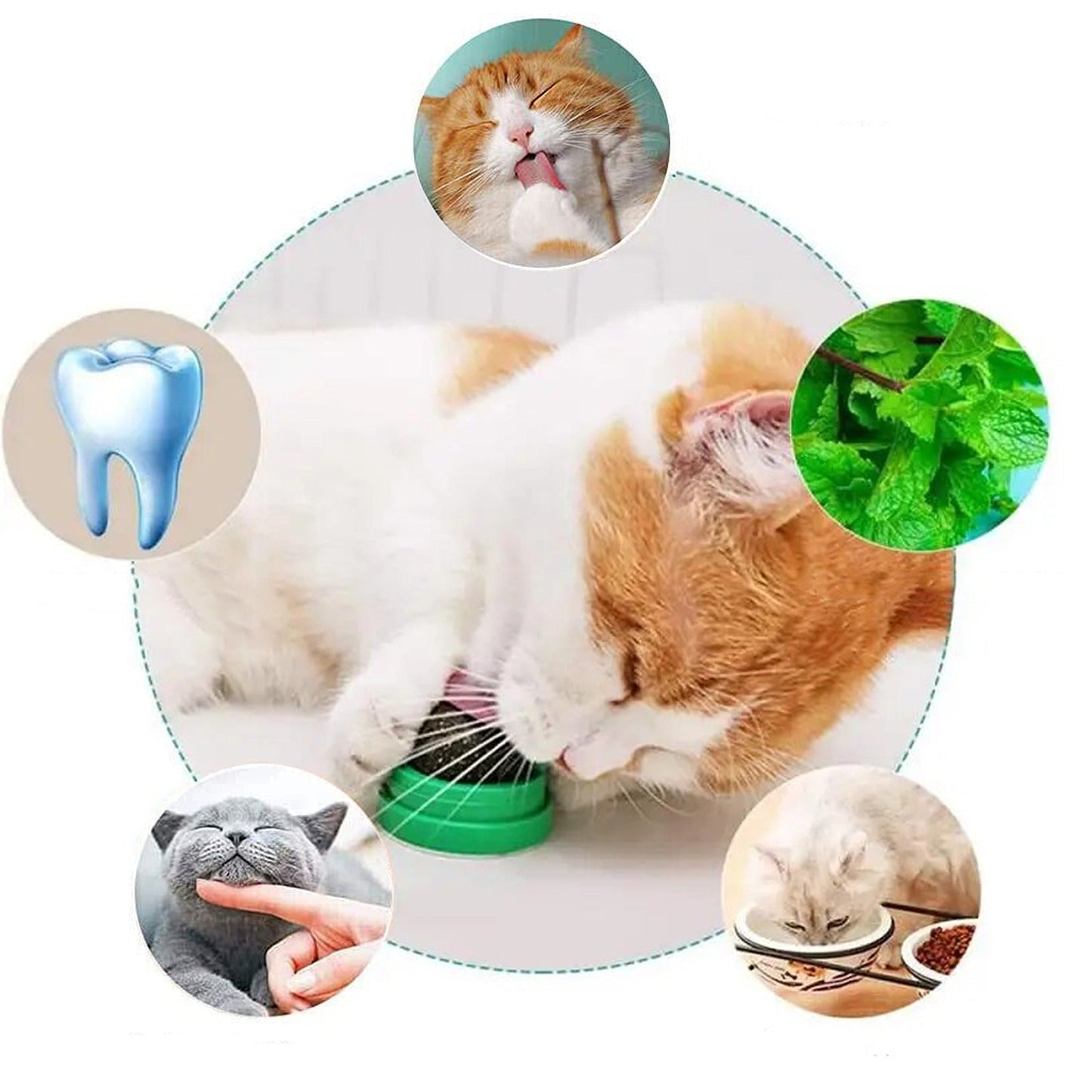 Wall Mount Catnip Ball Toy for Cats - Digestion Helping Solid Nutrition