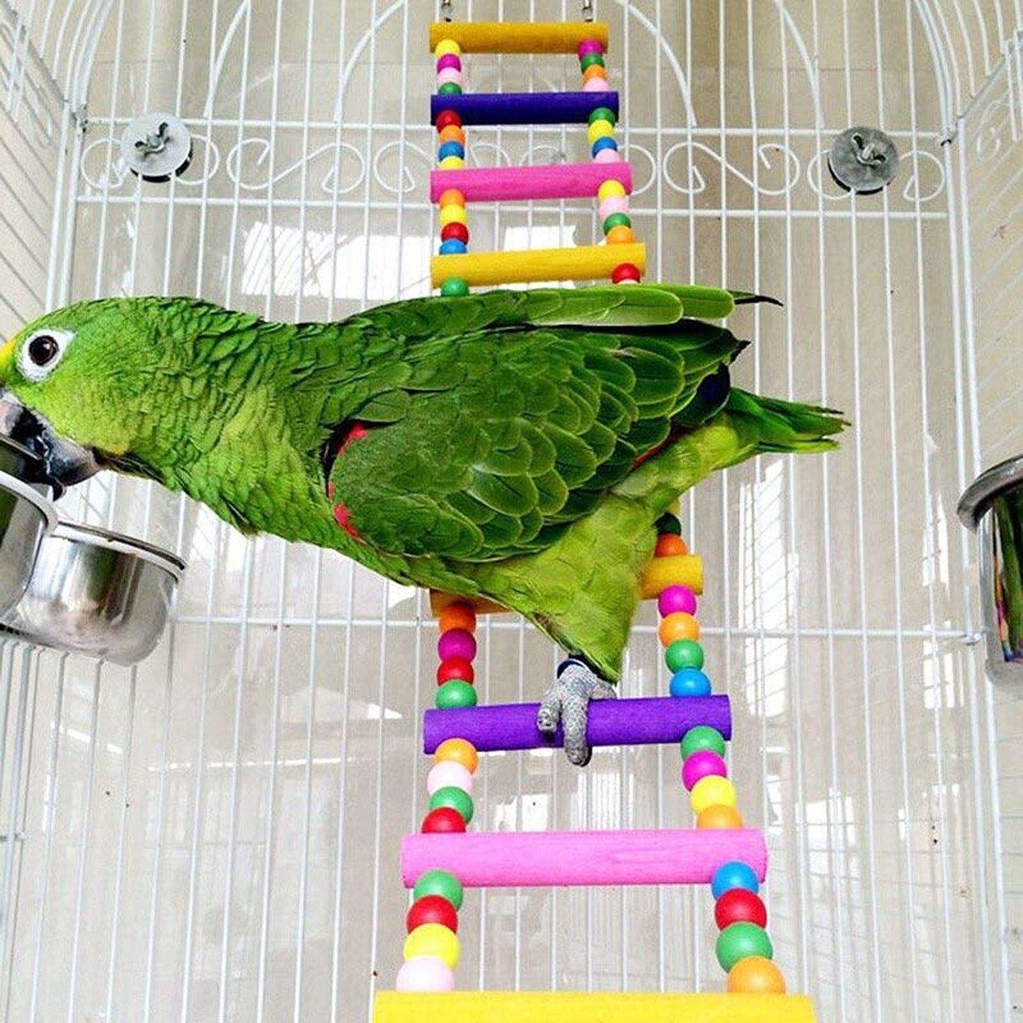 Wooden Parrot Swing and Climbing Ladder Bird Toy for Cockatiel Budgie