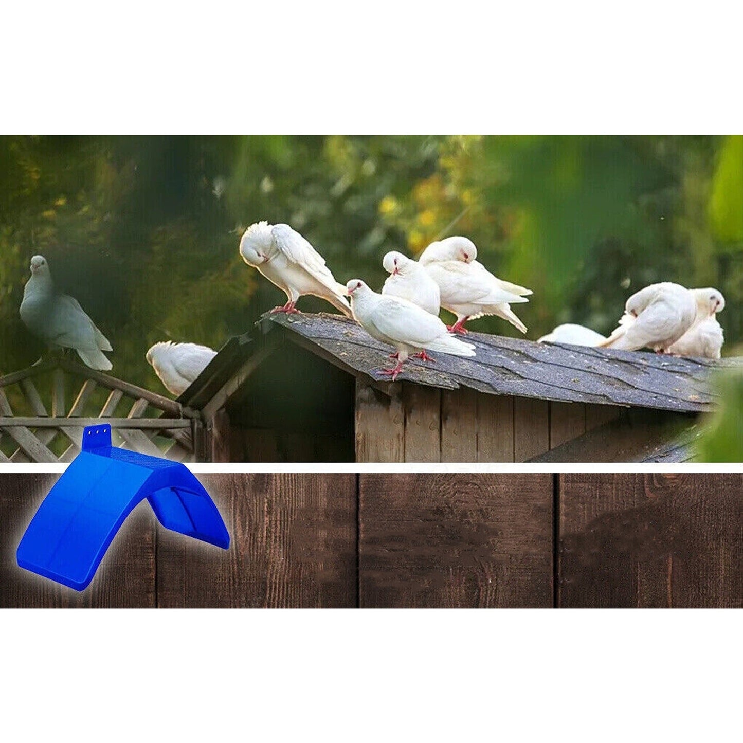 Bird Supplies Set with Pigeon Dove Rest Stand Frame Grill