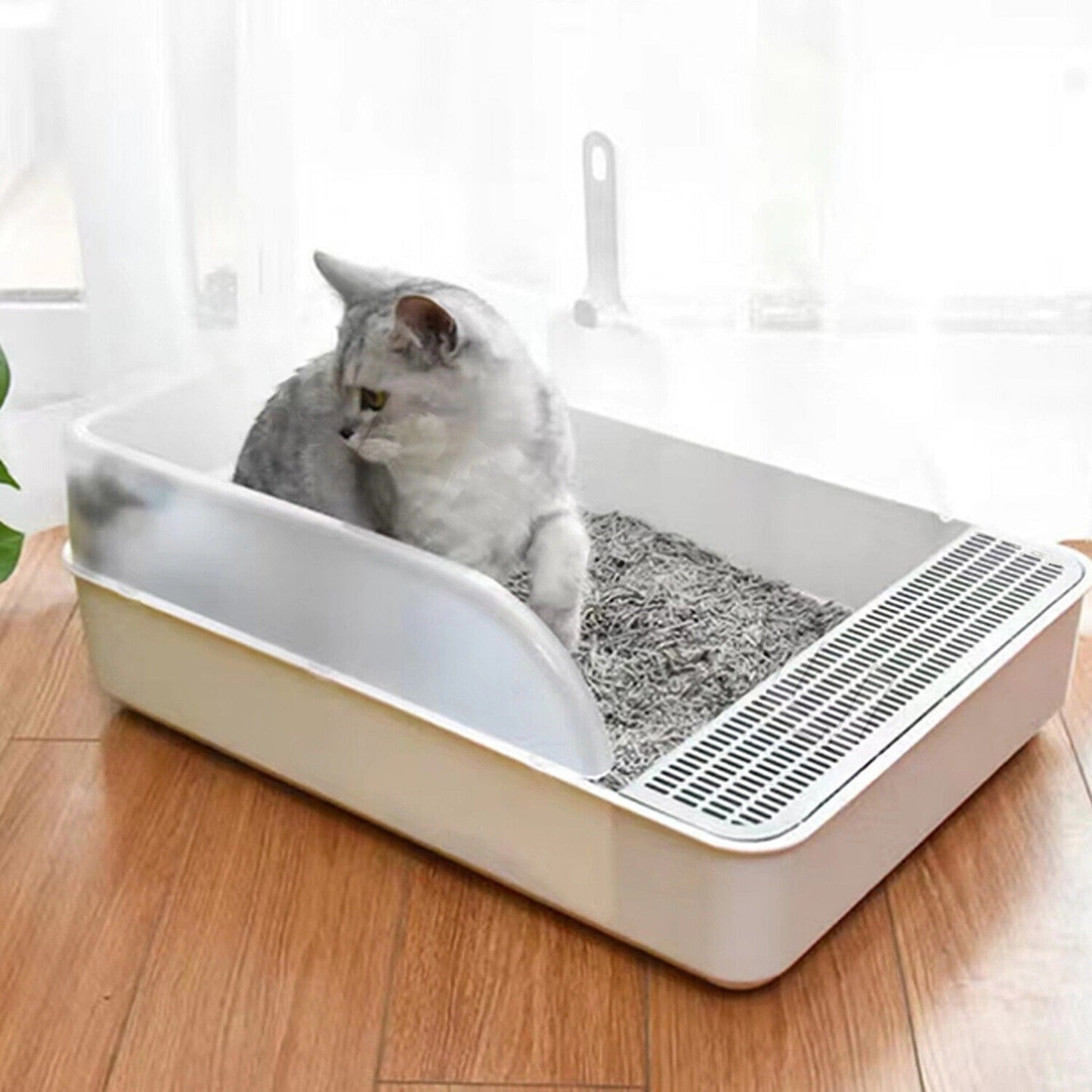 Cat Litter Box with Large Entry and Splash Guard Open Kitty Toilet Tray