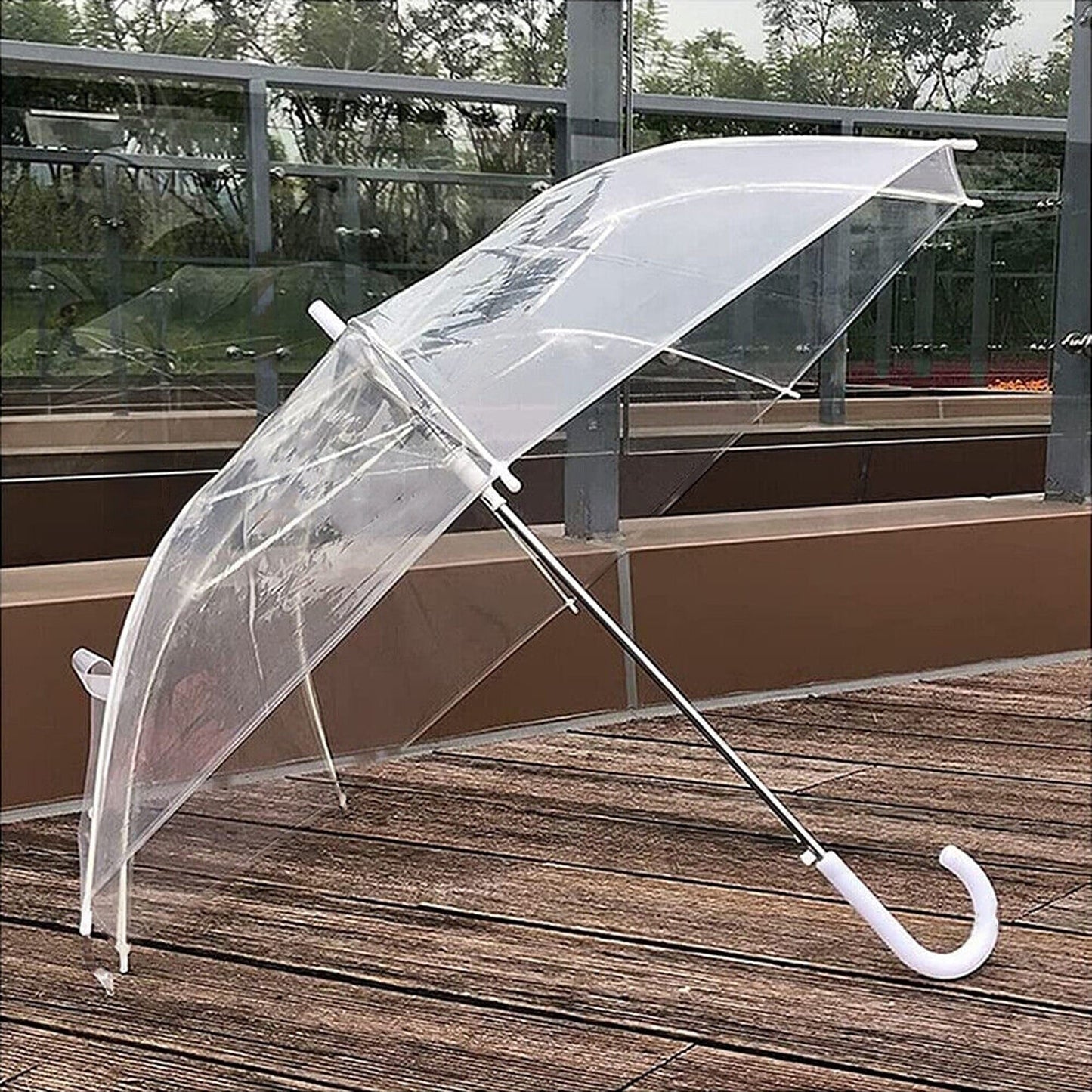 Transparent Dome Umbrella with Clear Handle Semi-Automatic Waterproof