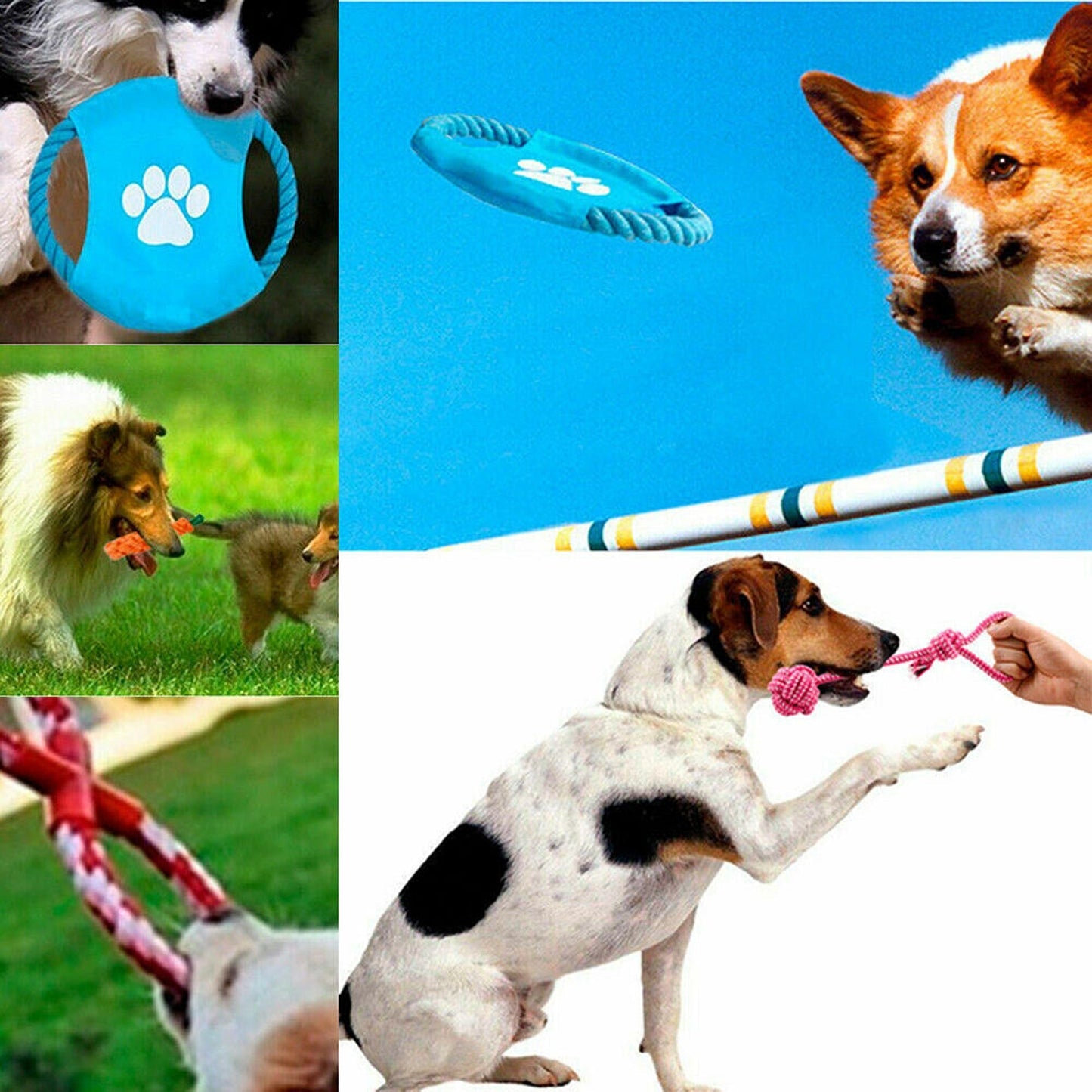Durable Cotton Puppy Dog Rope Chew Toy Set for Clean Teeth Cat Toys