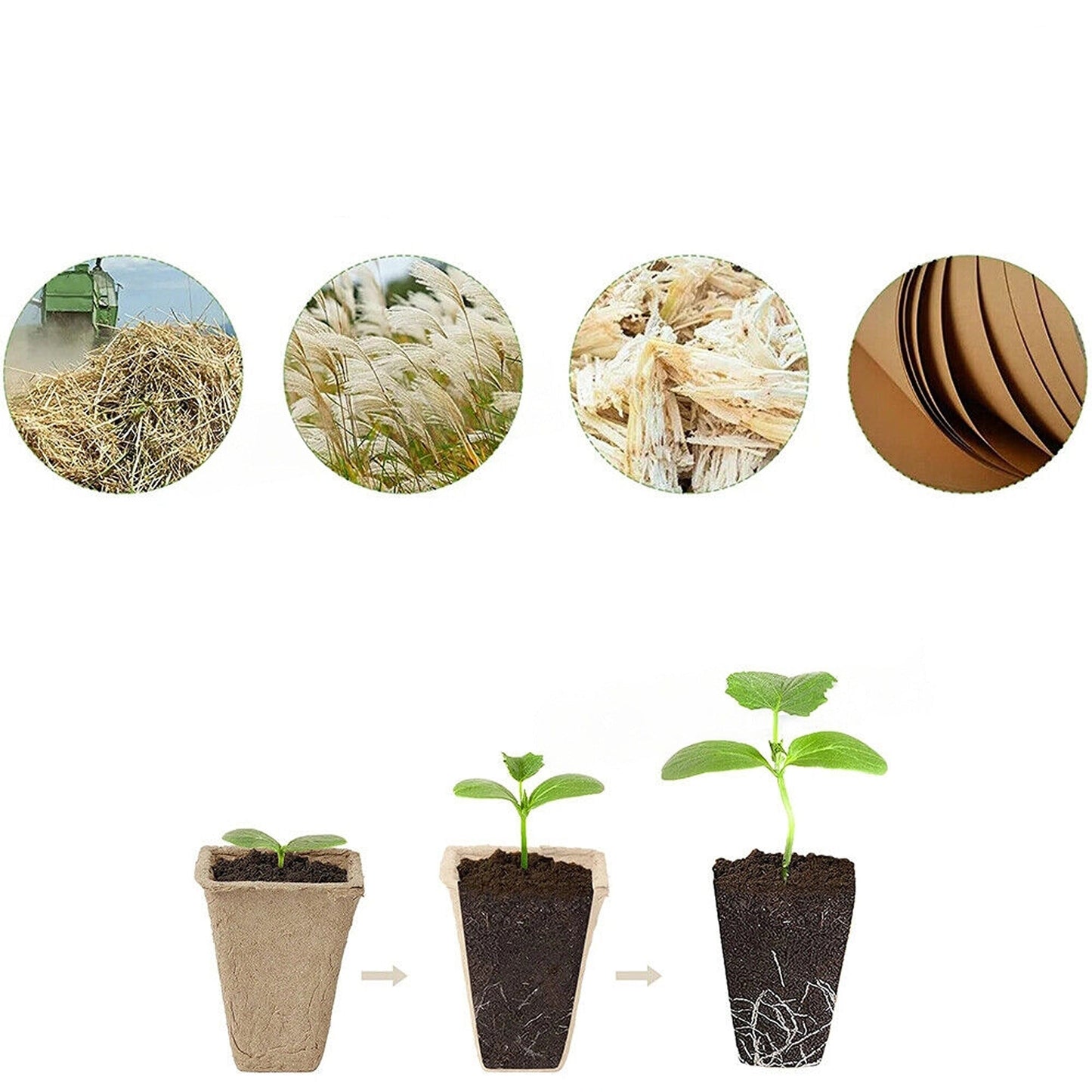 Biodegradable Paper Seedling Trays Garden Nursery Seed Pots