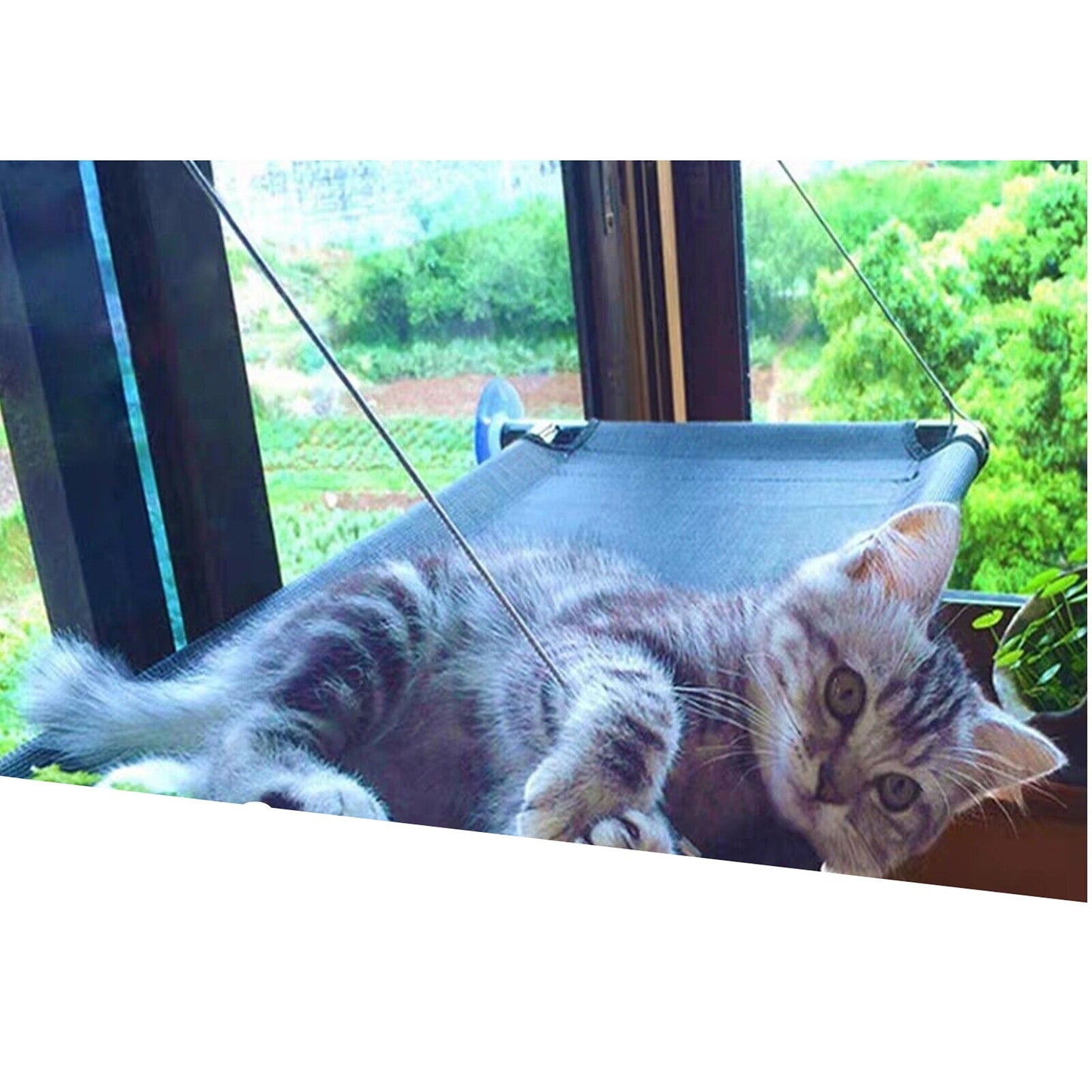 Durable Window Mounted Cat Hammock Perch Can Hold Up To 60lbs