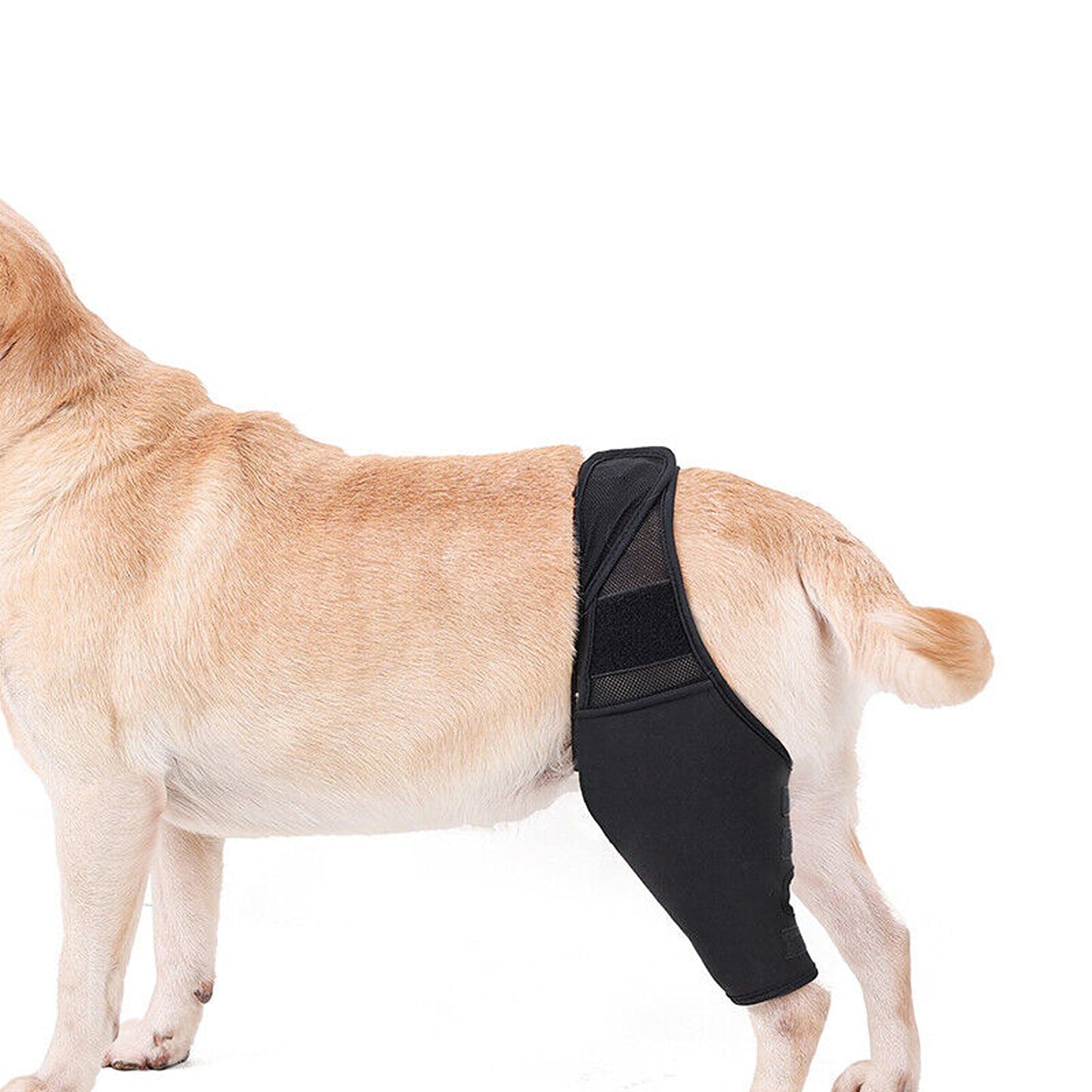 Supportive Pet Dog Leg Brace for Knee and Joint Compression