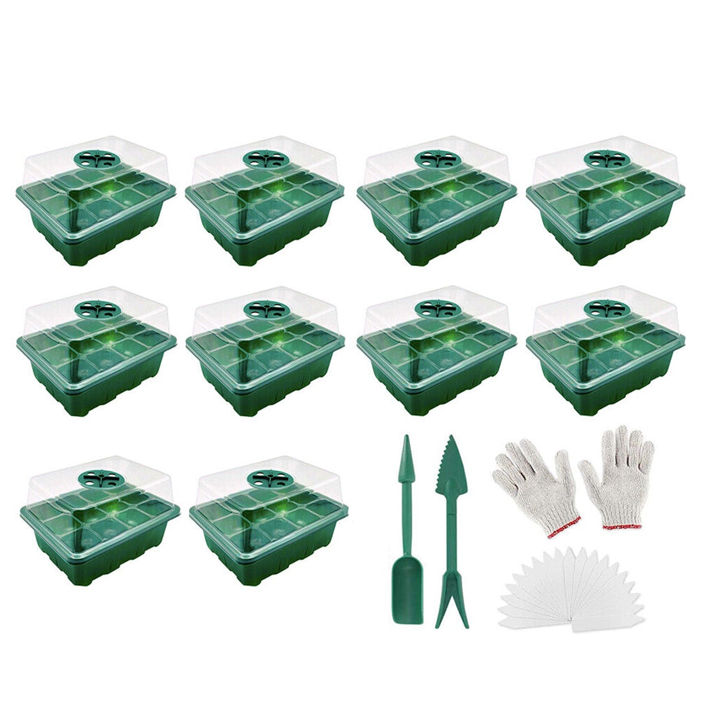 Set of 10 Seedling Starter Tray for Plant Growth and Propagation
