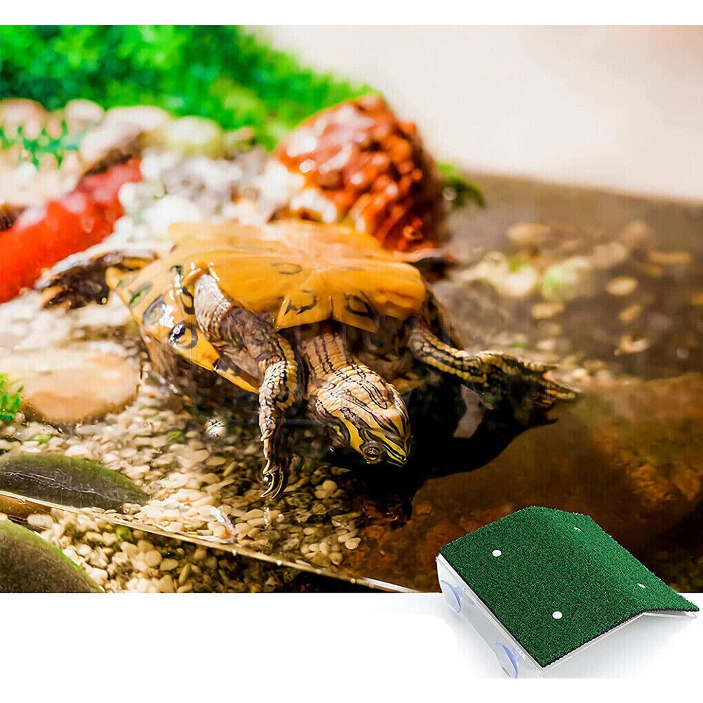 Cora Turtle Basking Platform with Ramp for Reptile Tanks