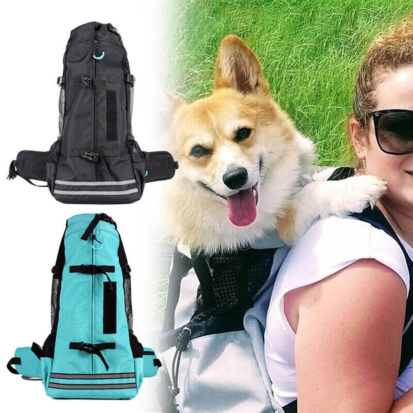 Large Backpack Dog Carrier for Bike Travel and Hiking