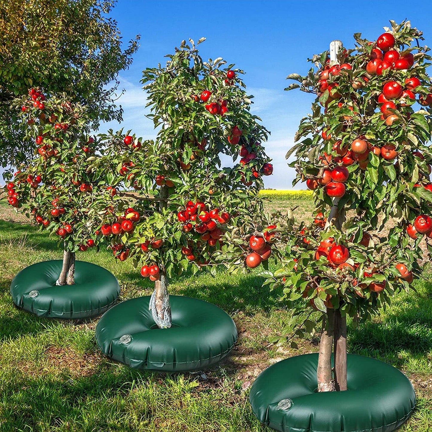 Slow Release Tree Watering Bag PVC Drip Irrigation Ring