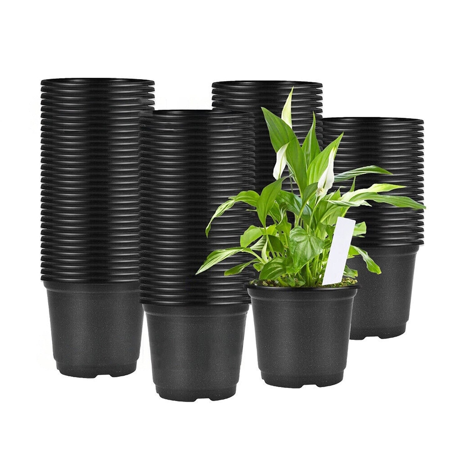 100pcs Plastic Growing Containers for Nursery Plants and Seedlings