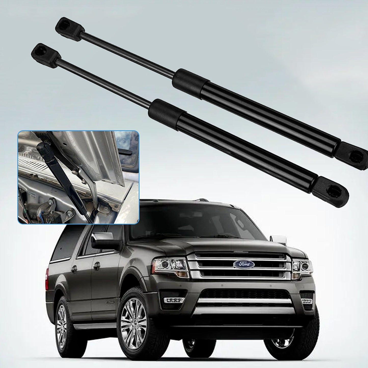 6pcs Tailgate and Bonnet Gas Struts for Ford Territory SX SY 2004-2011