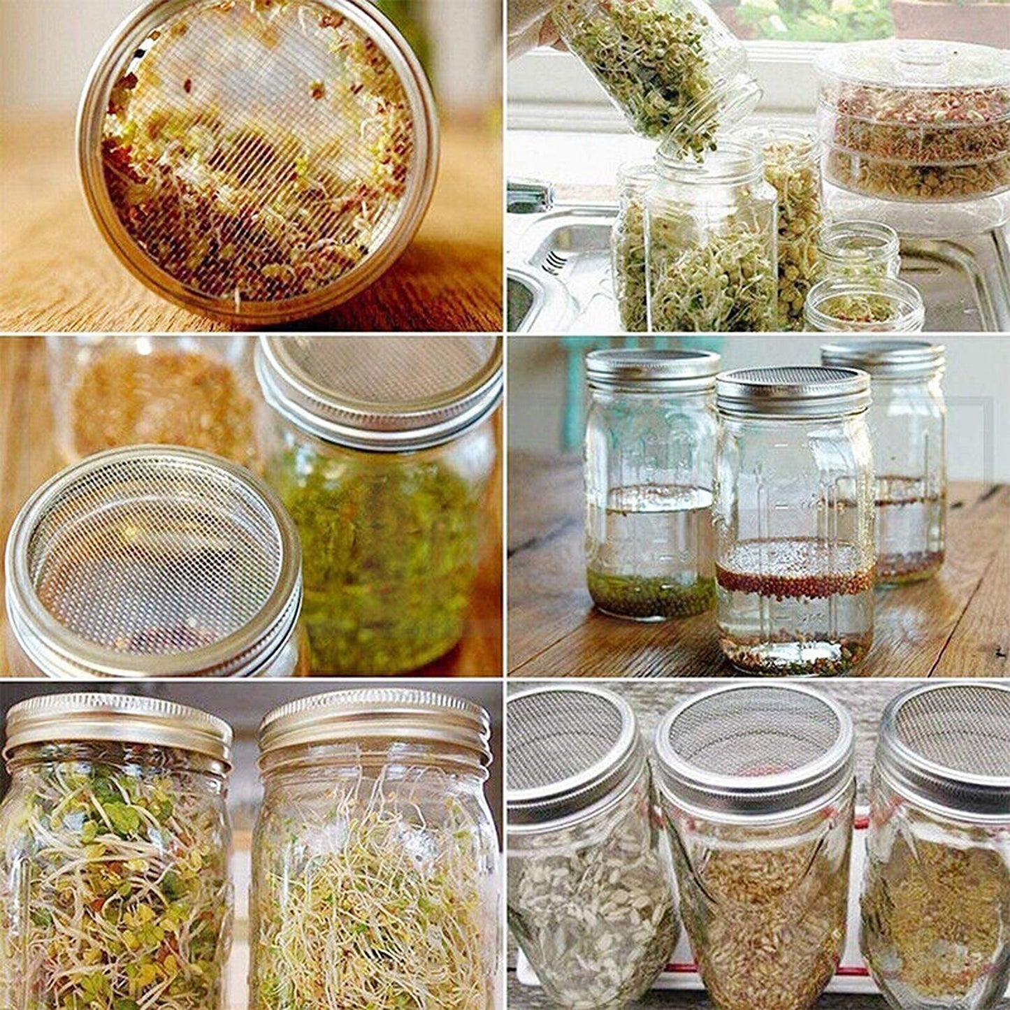 Mason Jar Seed Germination Kit with Sprouter Lids and Stands - 2 Sets