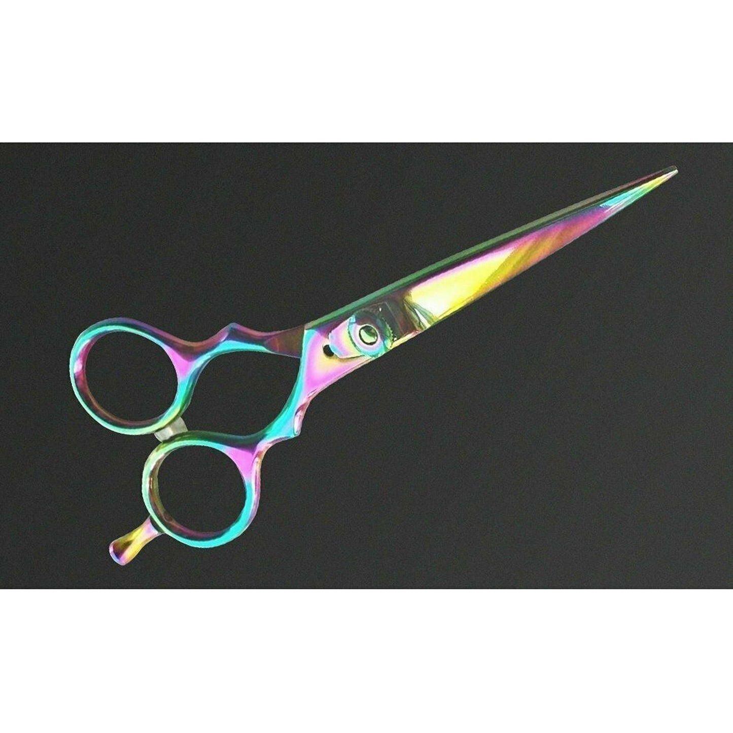 Salon Professional Hair Cutting Scissors Barber Shears Razor Sharp