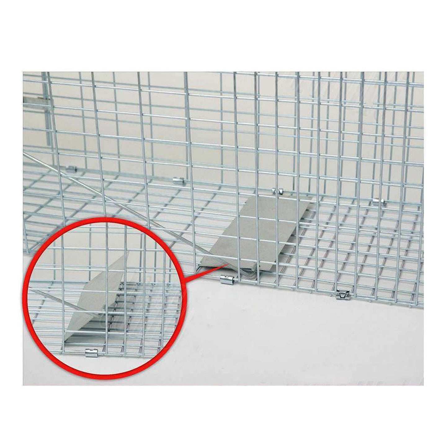 Live Catch Animal Trap Cage for Possum Cat Rabbit and Fox - Humane