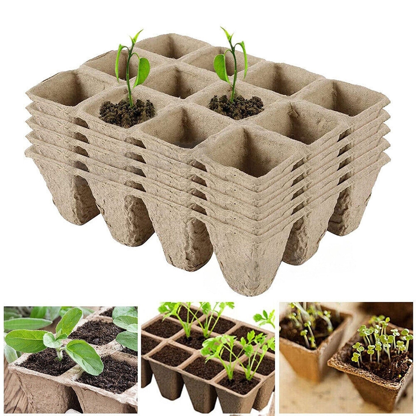 Biodegradable Paper Seedling Trays Garden Nursery Seed Pots