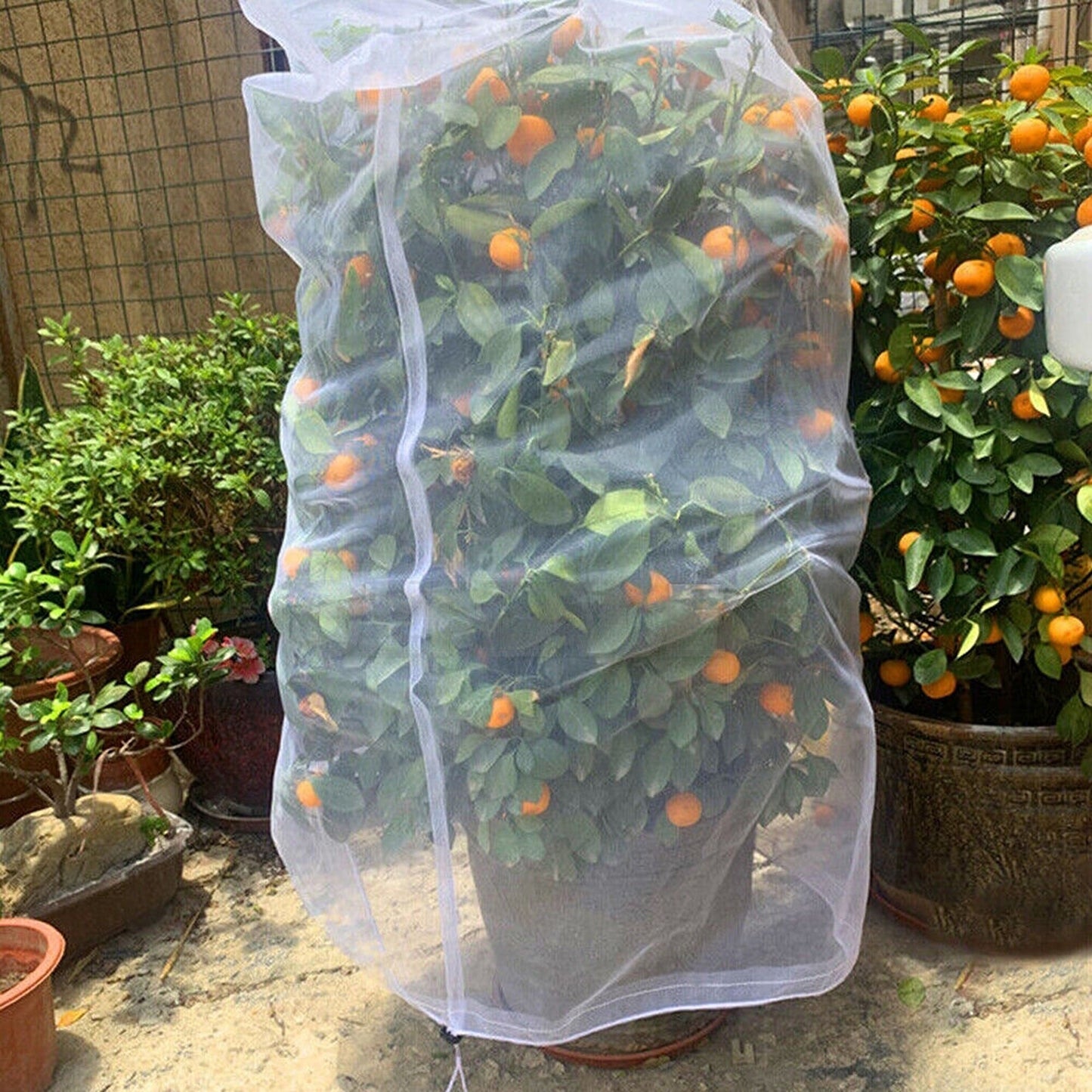 Insect Protection Mesh for Plants Fruit Fly Netting Vegetable Garden Cover