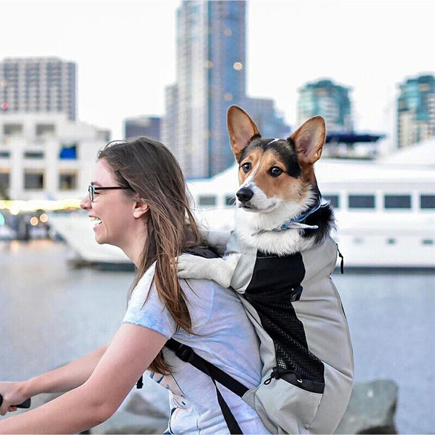 Large Backpack Dog Carrier for Bike Travel and Hiking