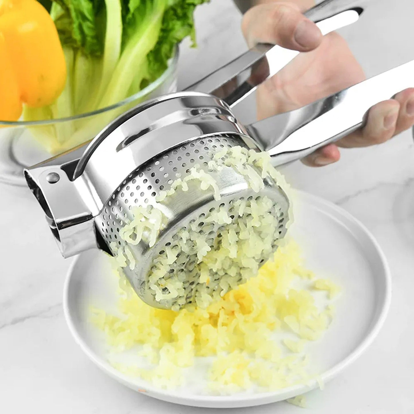 Gourmet Stainless Fruit and Vegetable Ricer Masher for Gnocchi
