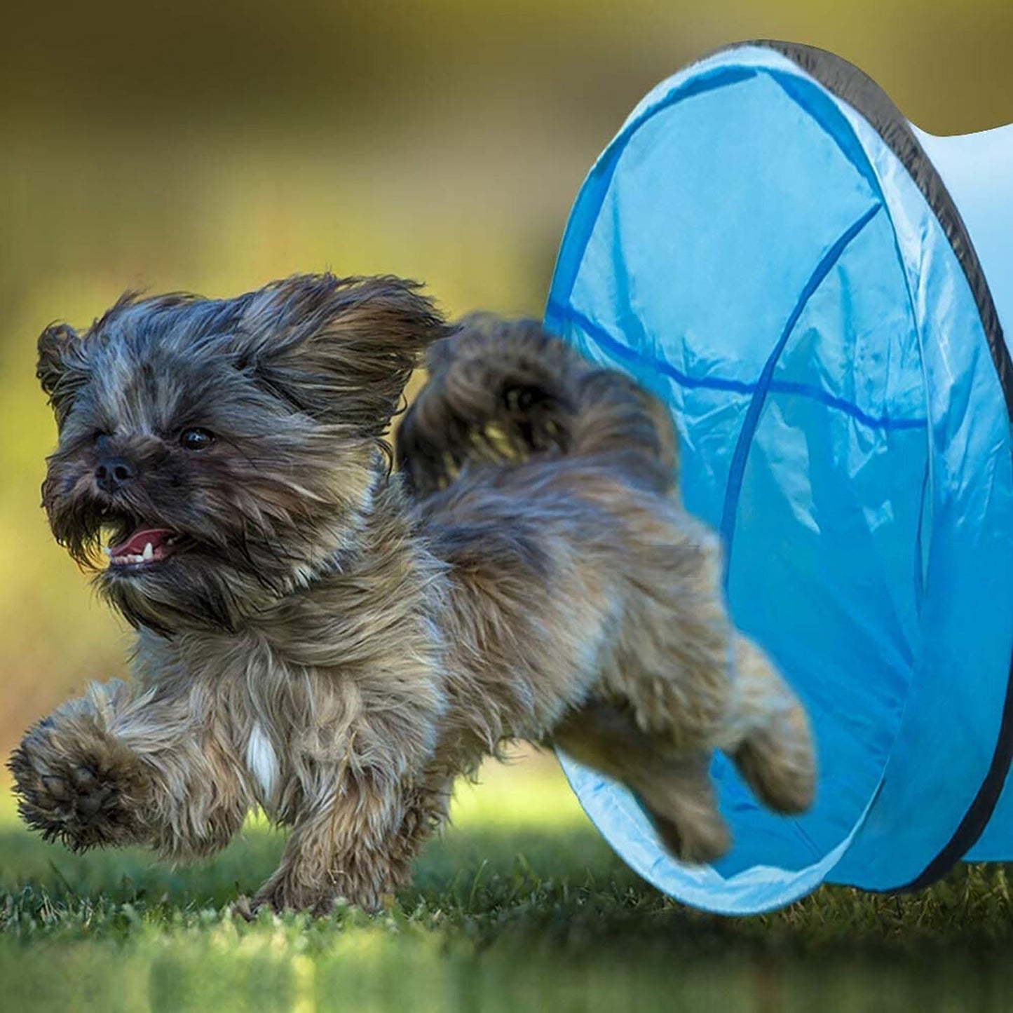 Waterproof 5M Pet Agility Exercise Tunnel Training Cat Dog Chute with Carry Bag