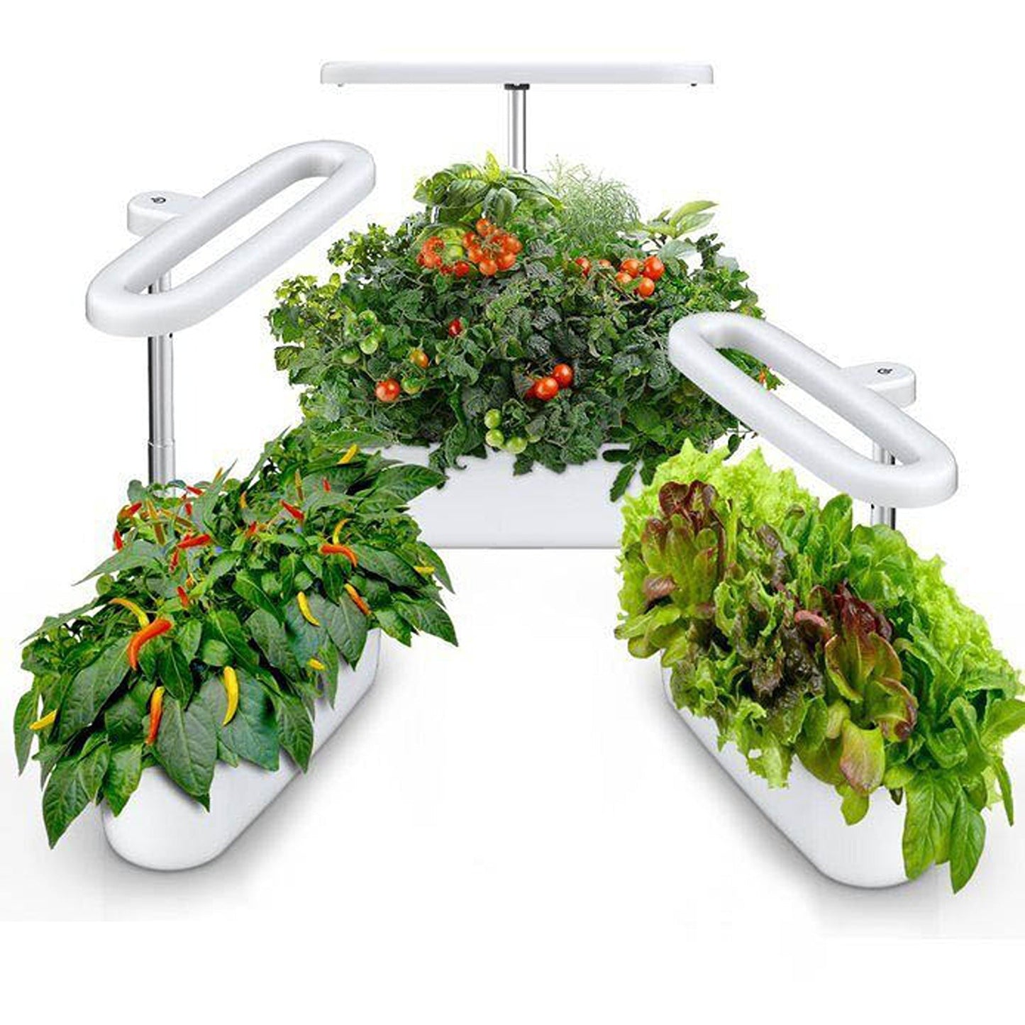 Indoor Hydroponics Herb Garden Starter Kit with LED Grow Lights
