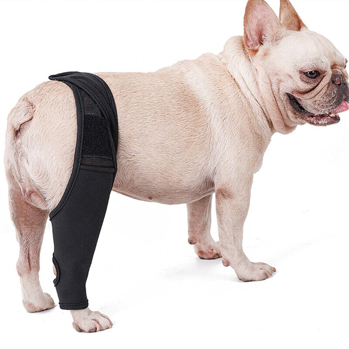Supportive Pet Dog Leg Brace for Knee and Joint Compression