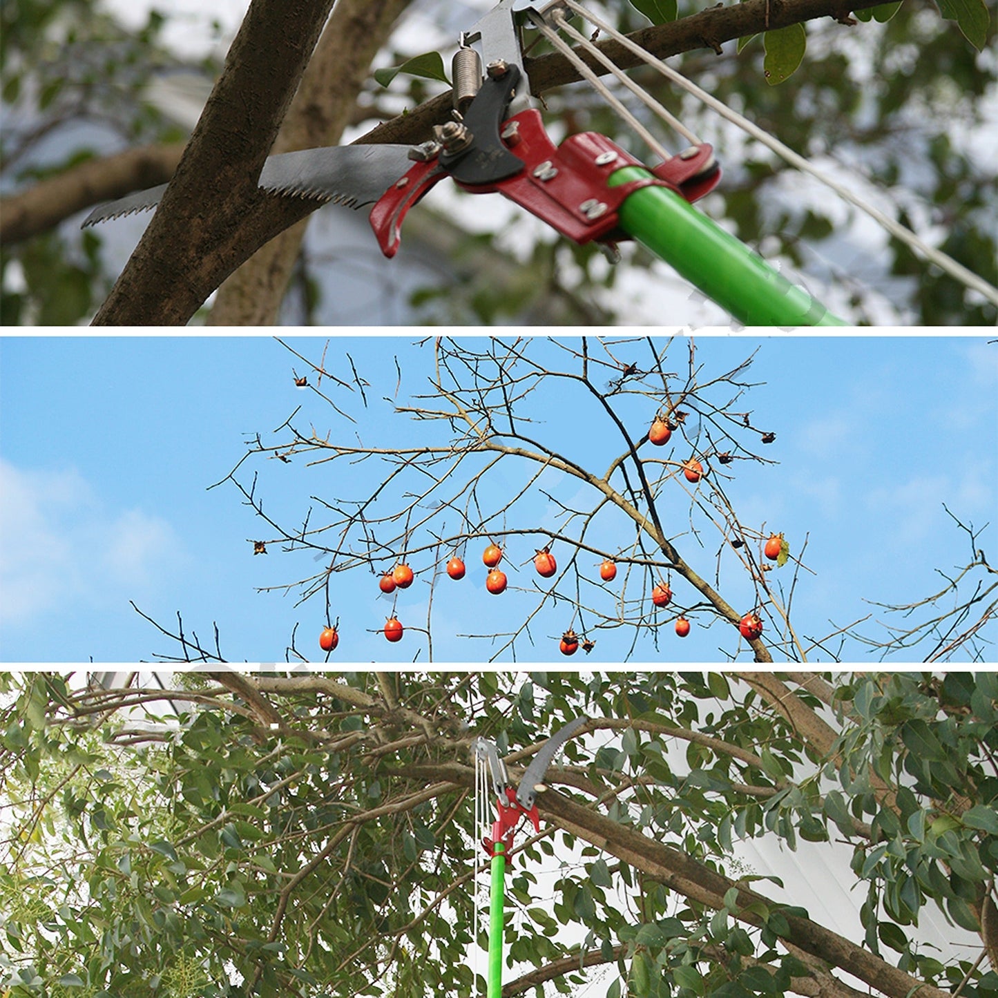8m Extendable Tree Pruning Saw with Pole and Portable Storage Bag