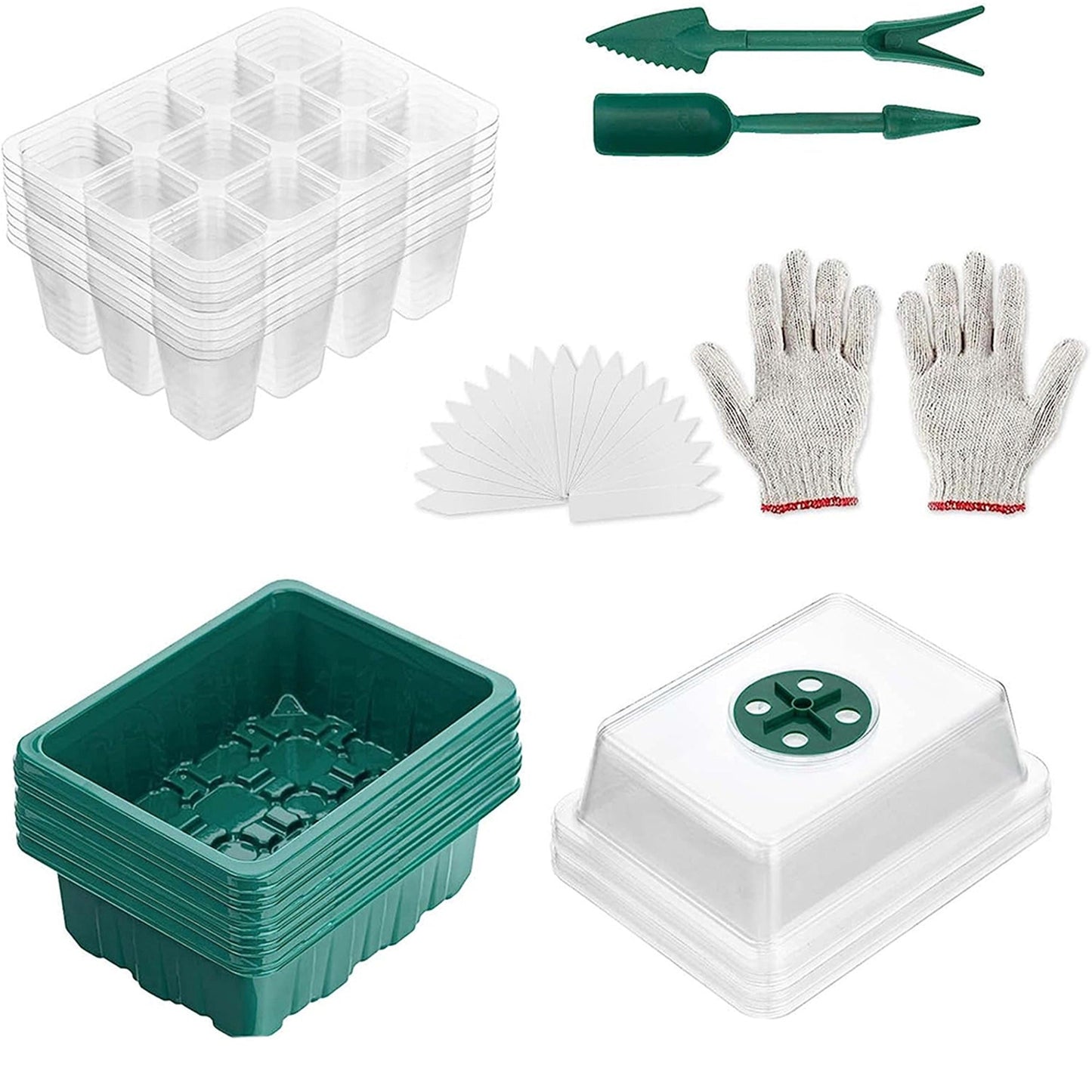 Set of 10 Seedling Starter Tray for Plant Growth and Propagation