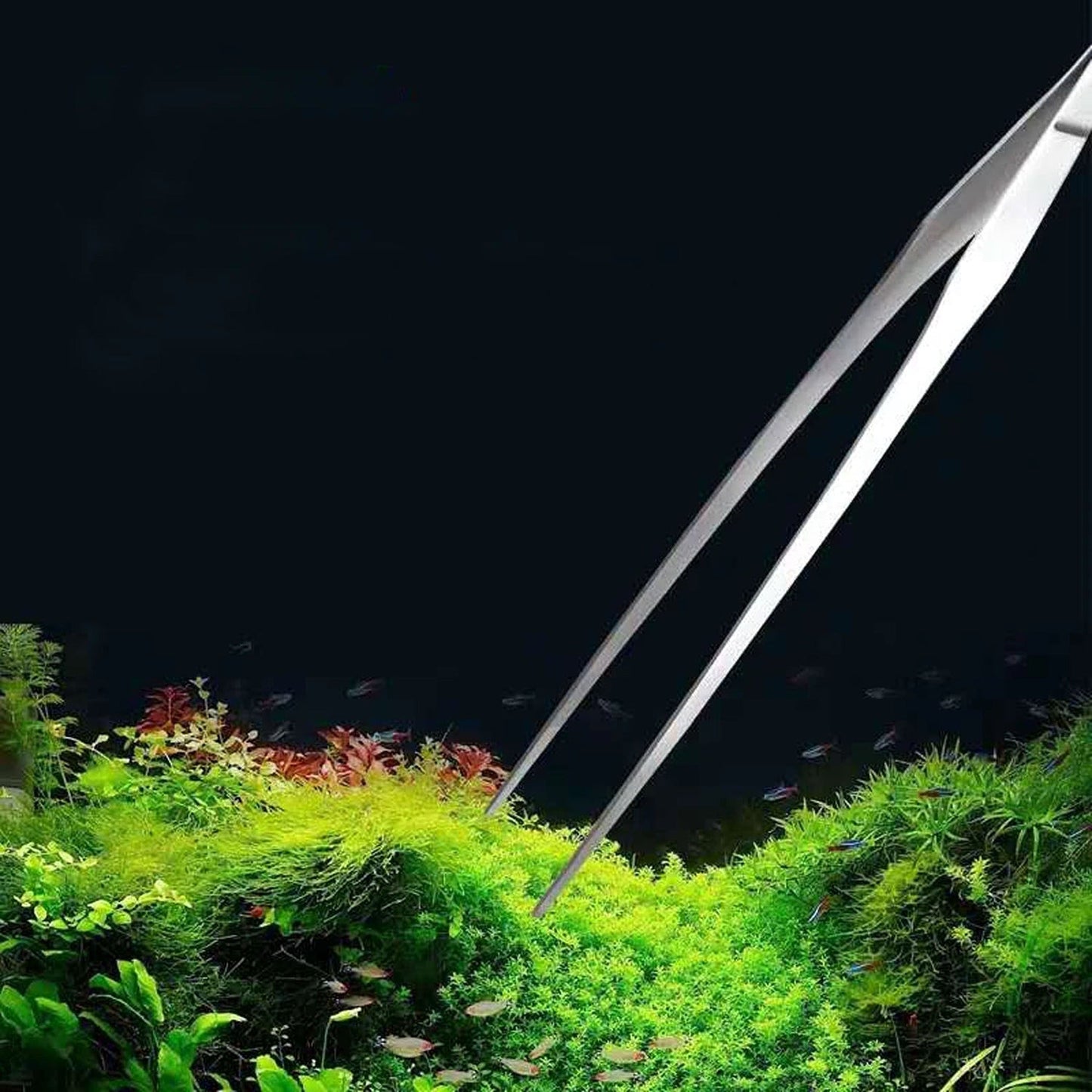 3pcs Aquatic Plant Care Tool Kit for Aquariums Includes Tweezers and Scissors