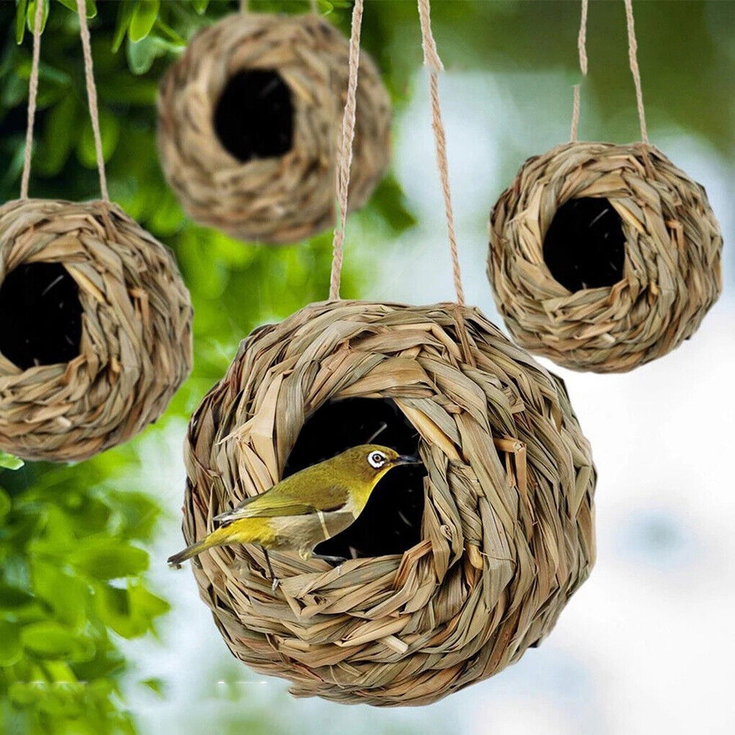 5pcs Grass Weave Canary Bird Nest Breeding Bed Box House