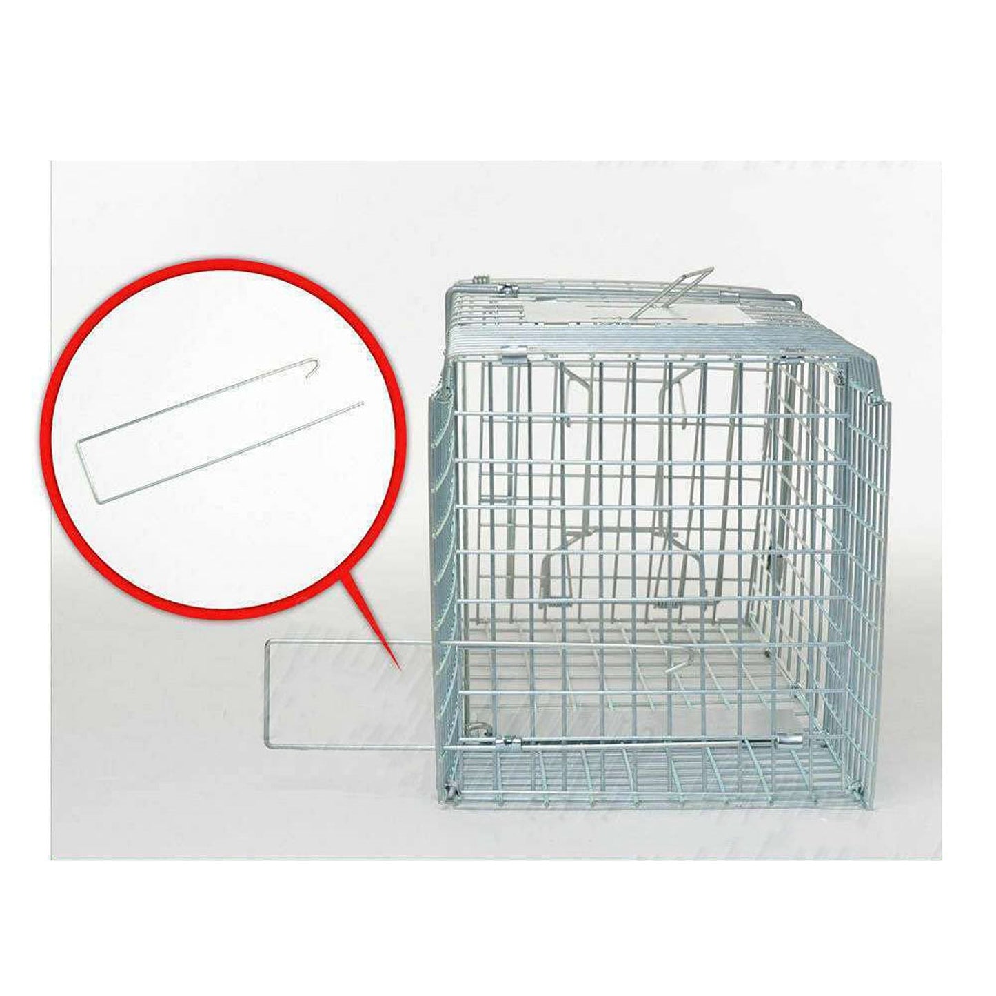 Live Catch Animal Trap Cage for Possum Cat Rabbit and Fox - Humane