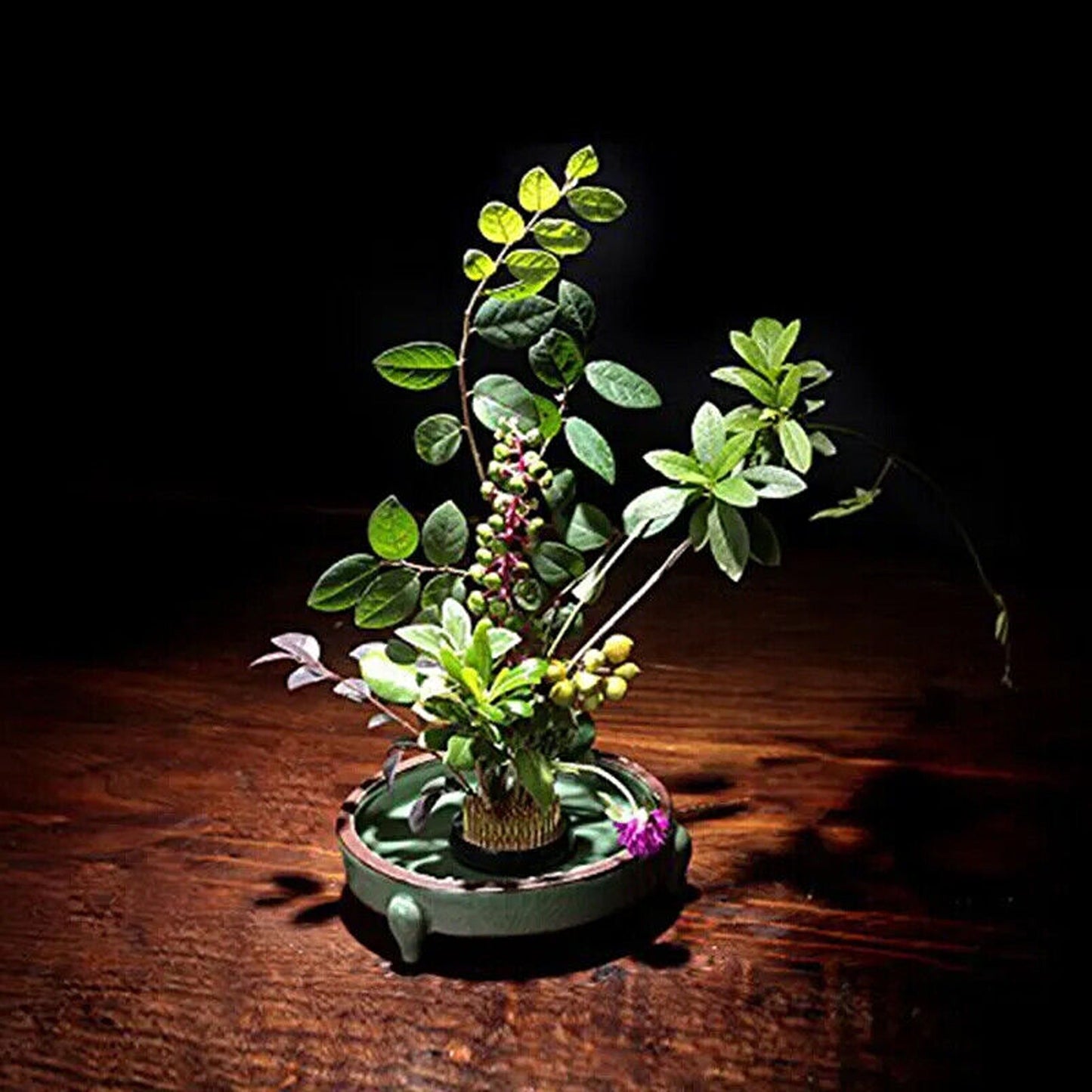 For Ikebana Kenzan Spiky Frog Fixed Tool Flower Arrangement Round Base