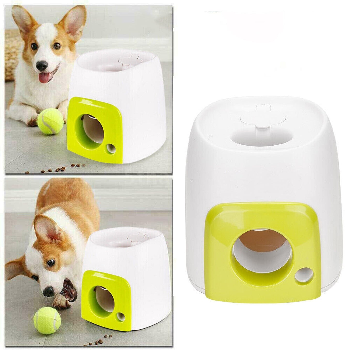 Interactive Tennis Ball Machine for Dogs Automatic Pet Training with Snack Dispenser